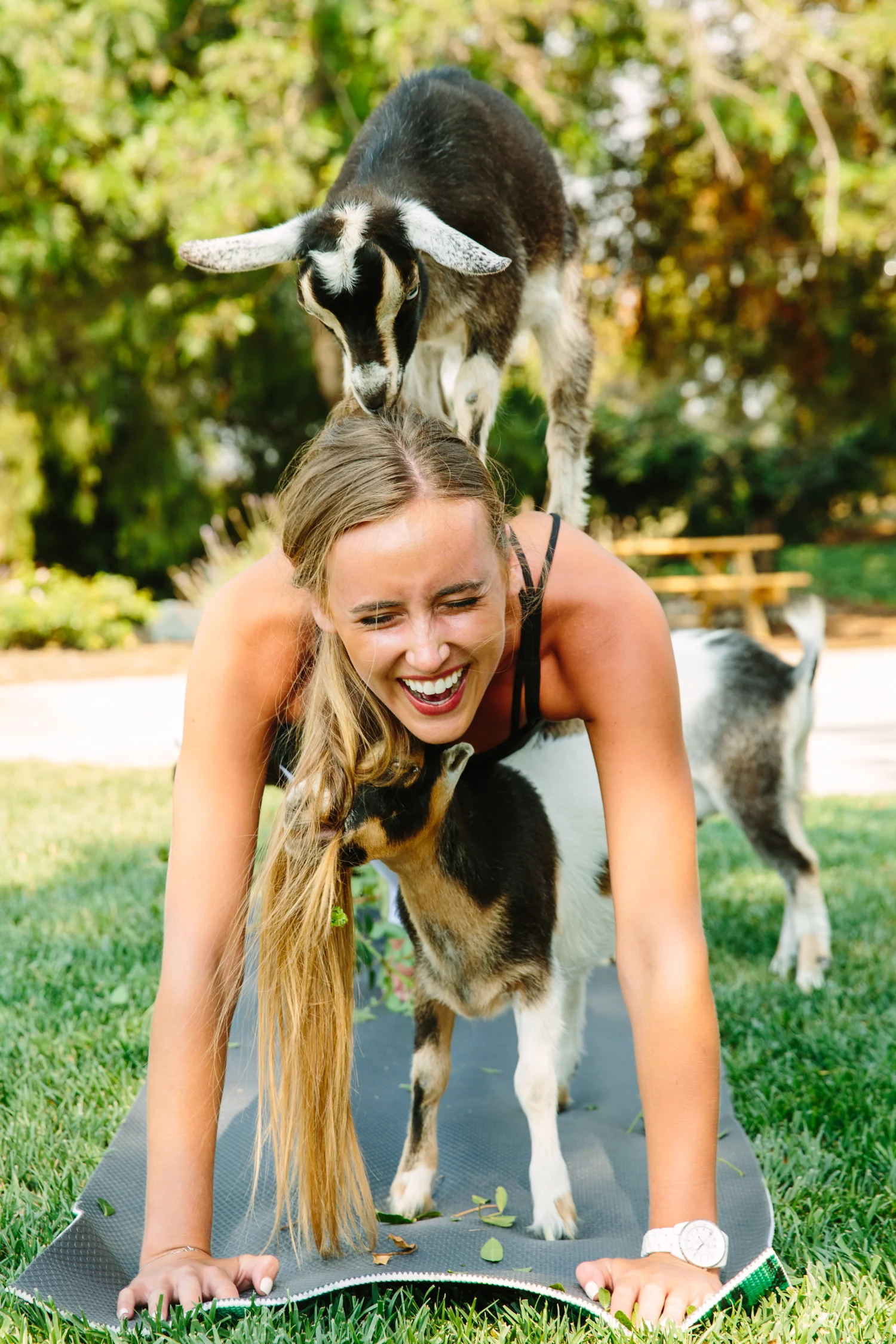 170715_GOAT YOGA_103.jpg