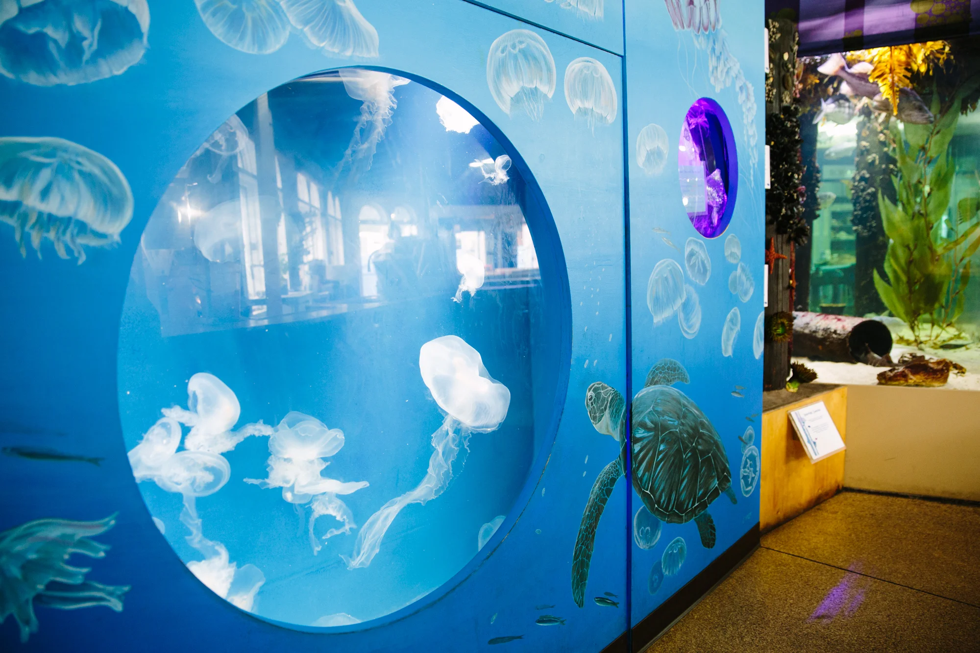 180426_AQUARIUM_01.jpg
