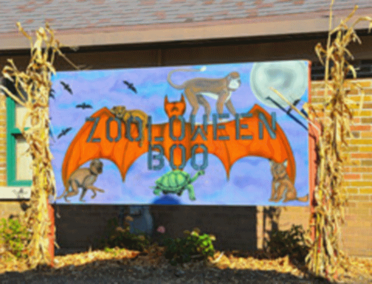 Zoolaween Boo Drum Circle