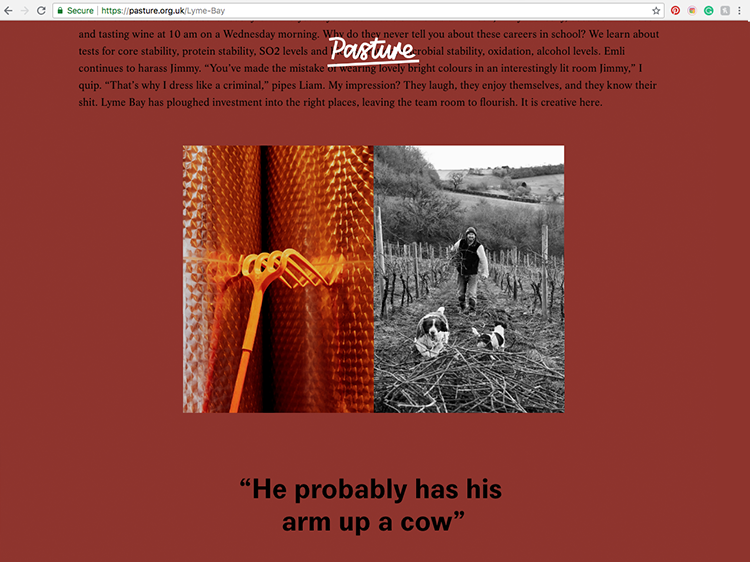 PASTURE_3.png