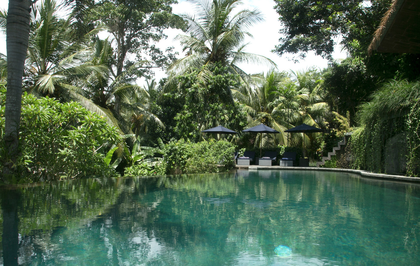 Screen Shot 2019-04-19 at 9.08.41 pm.png