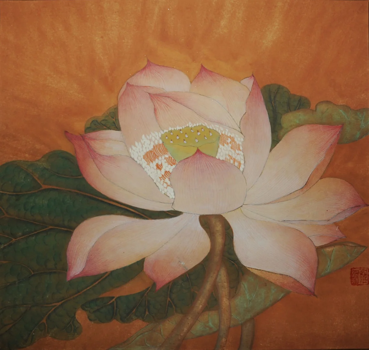 lotus.jpg