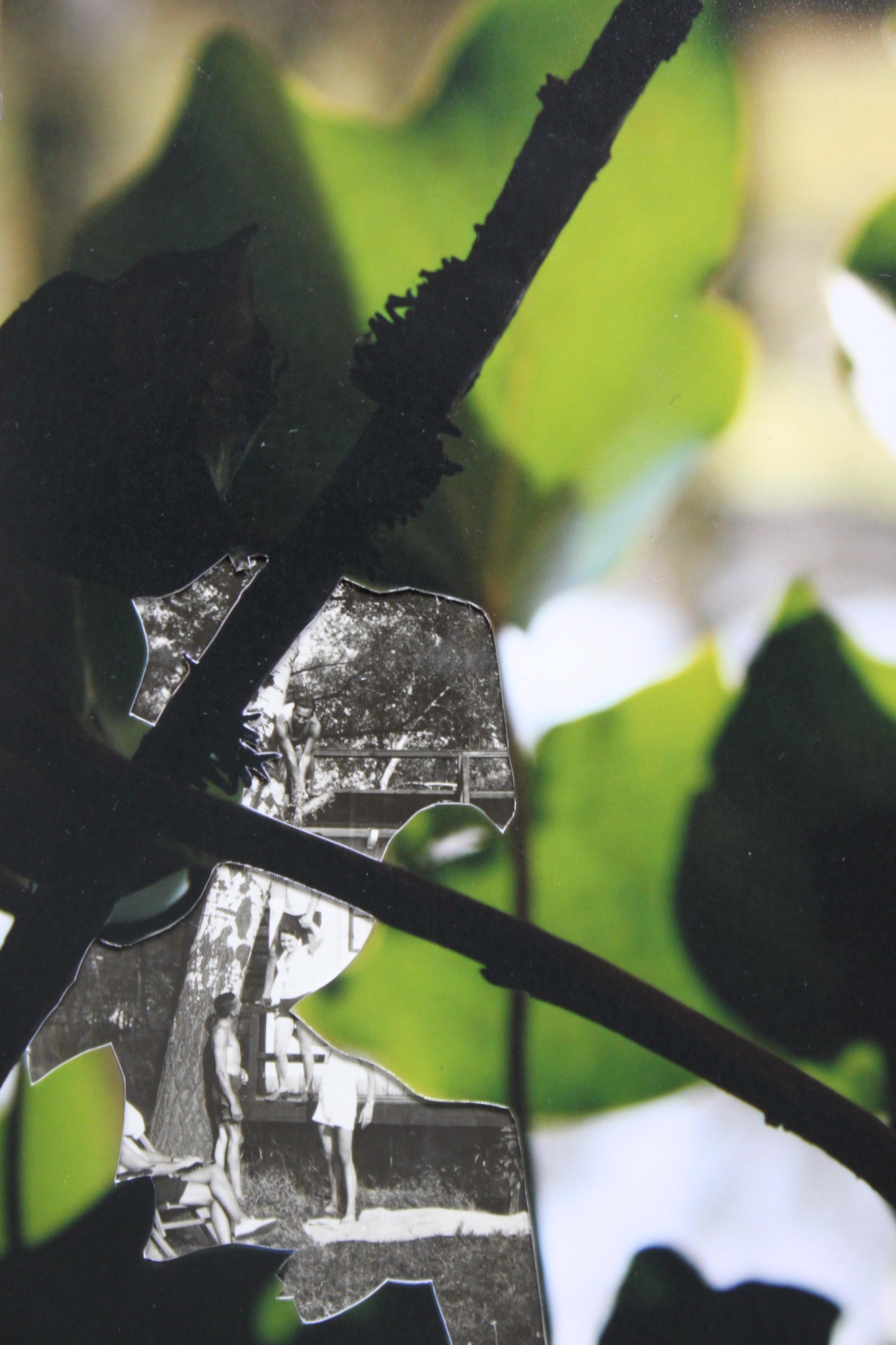 ORIGINALDreaming as Life IV_Hilda Goold.jpeg