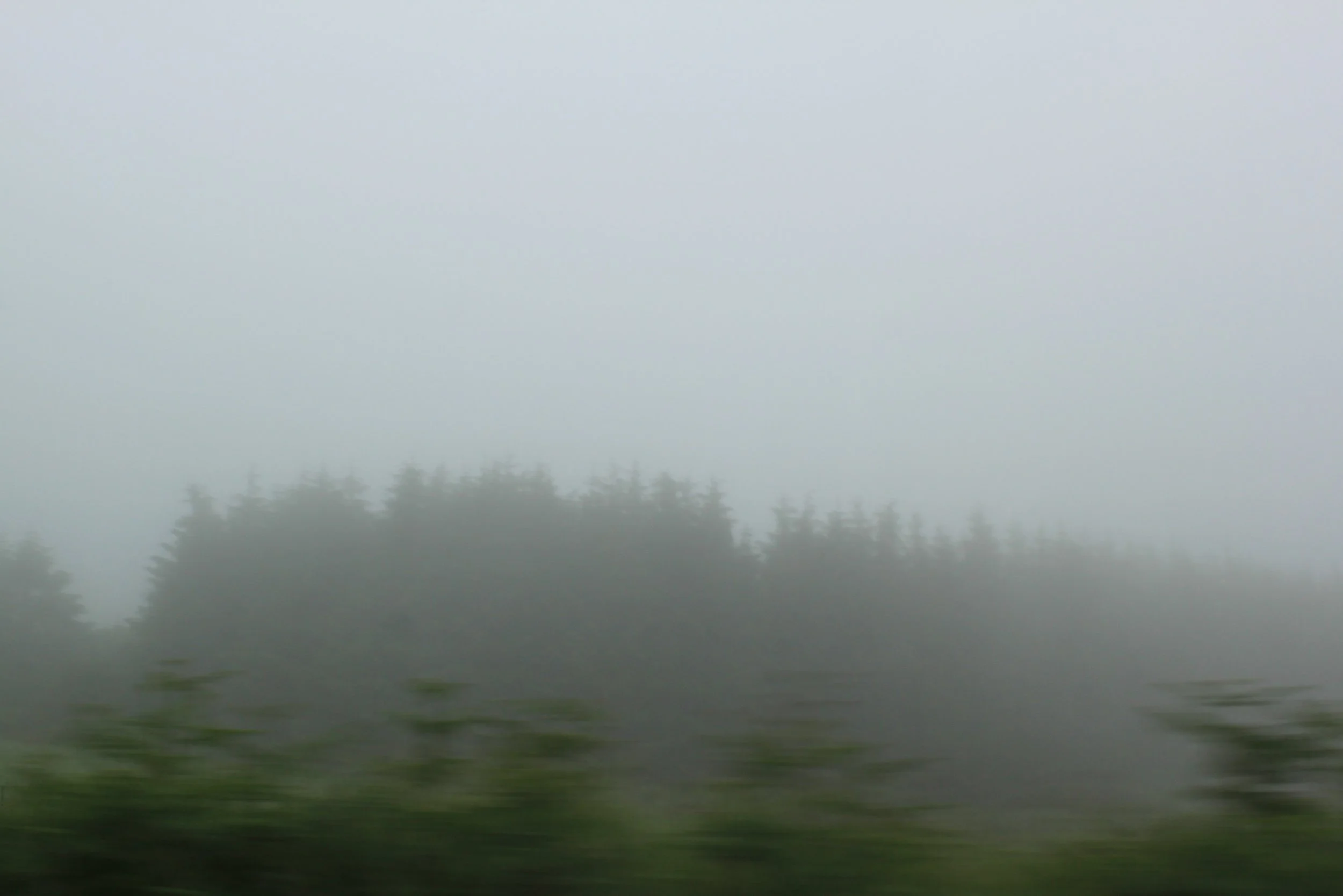IMG_6146.JPG