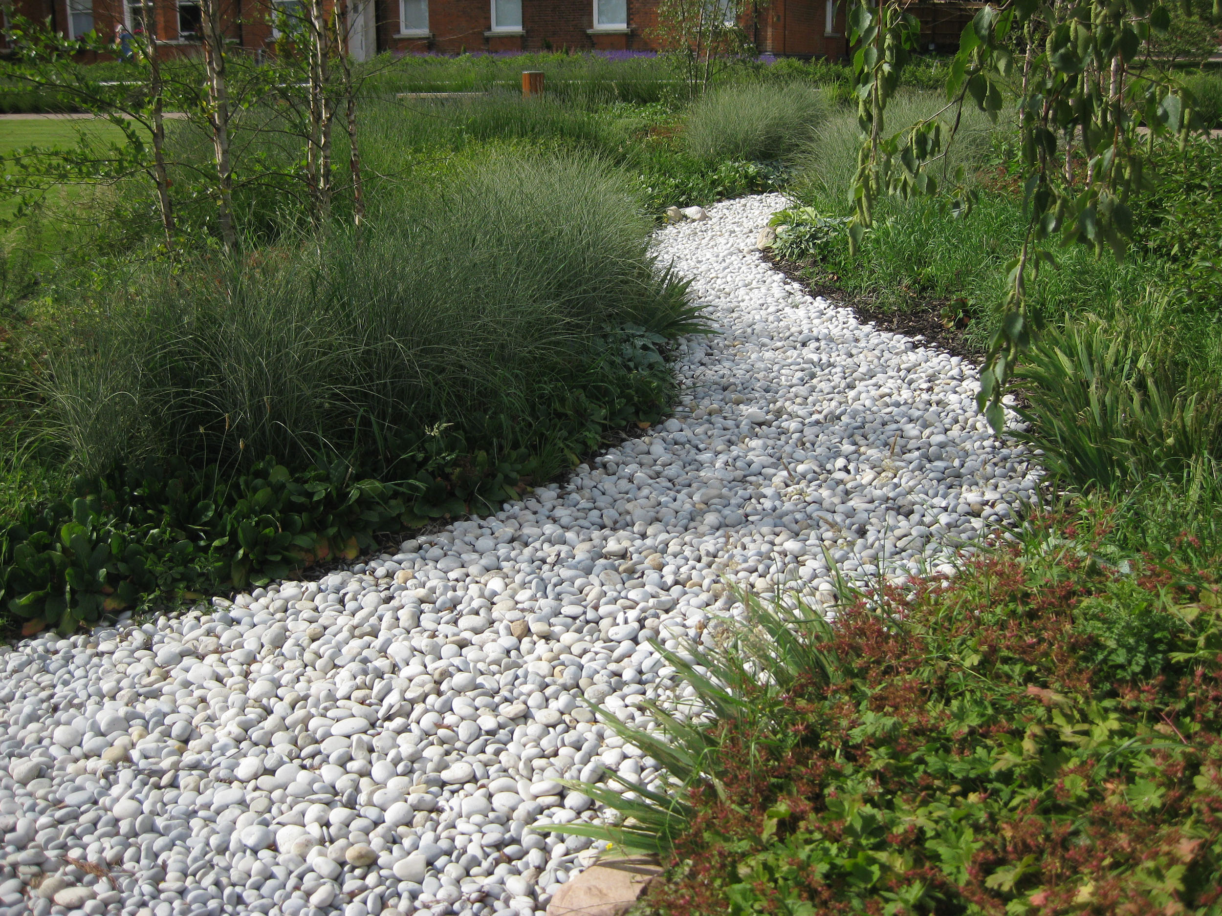 Officers' Mess Garden - Rain Garden