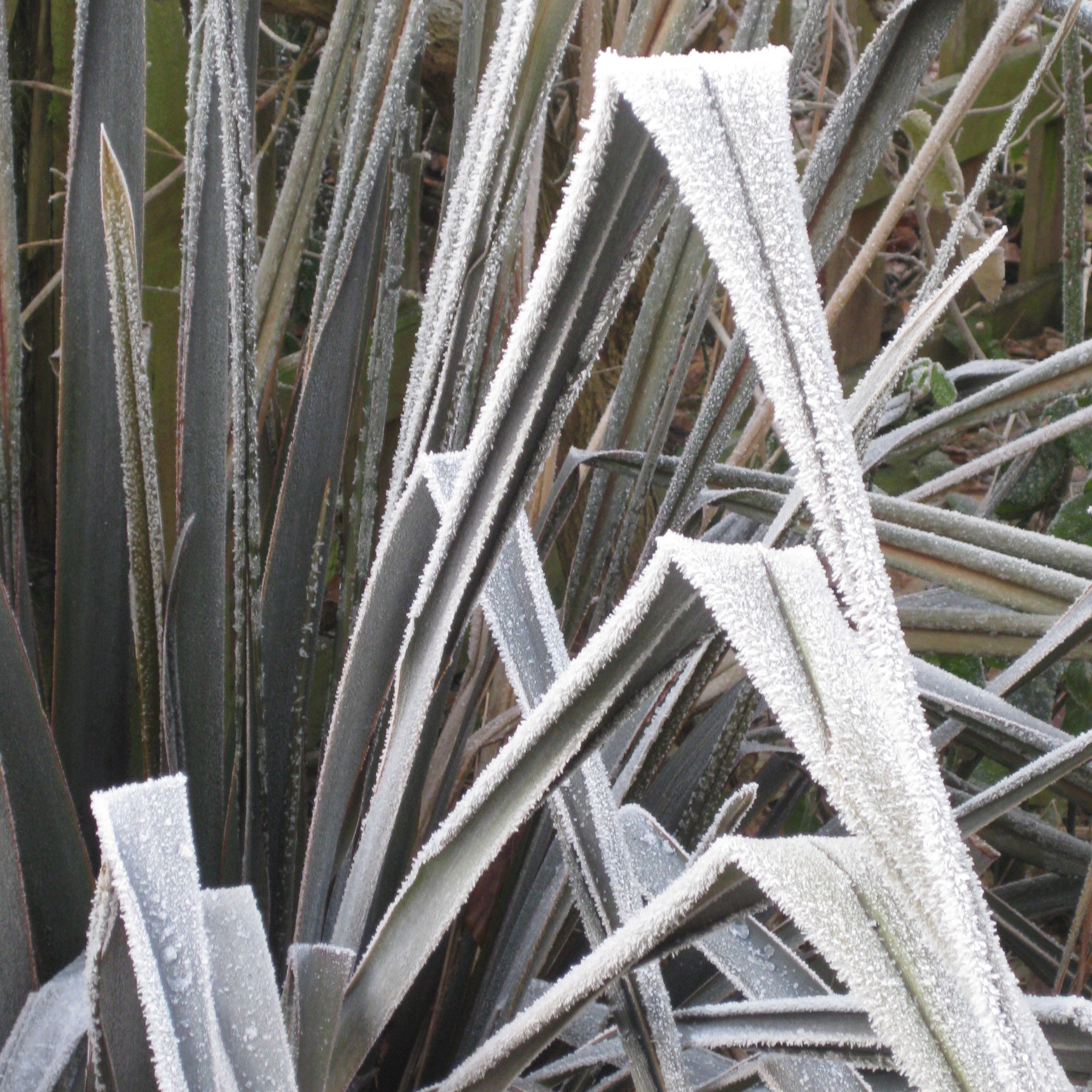 image 5.jpg