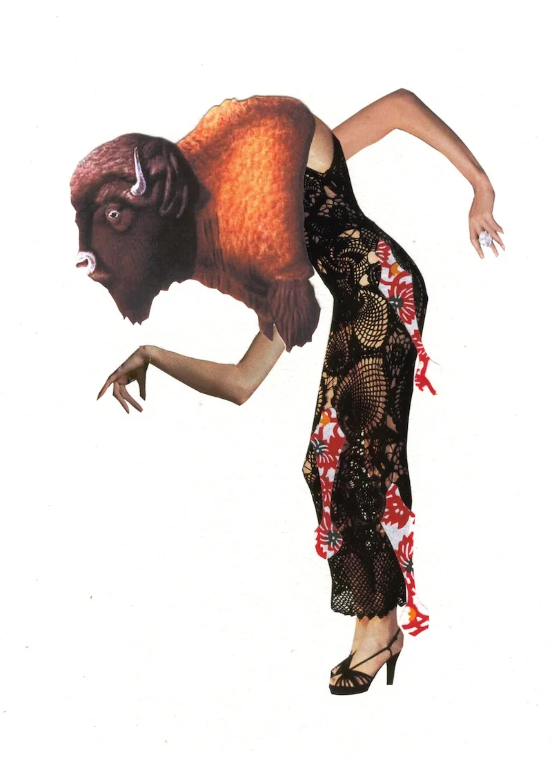 Bison on the Danecfloor