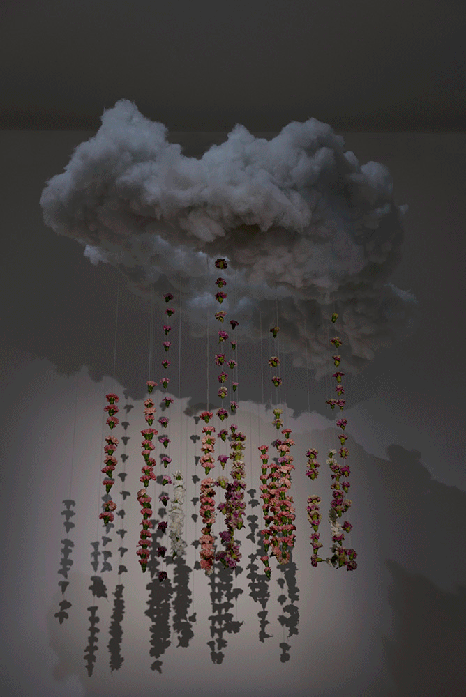 FloraObscura-by-M-A-T-T-E-R--2.gif