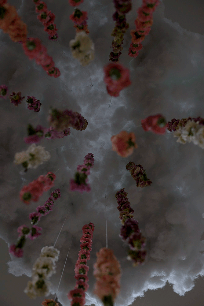 FloraObscura-by-M-A-T-T-E-R-6.gif