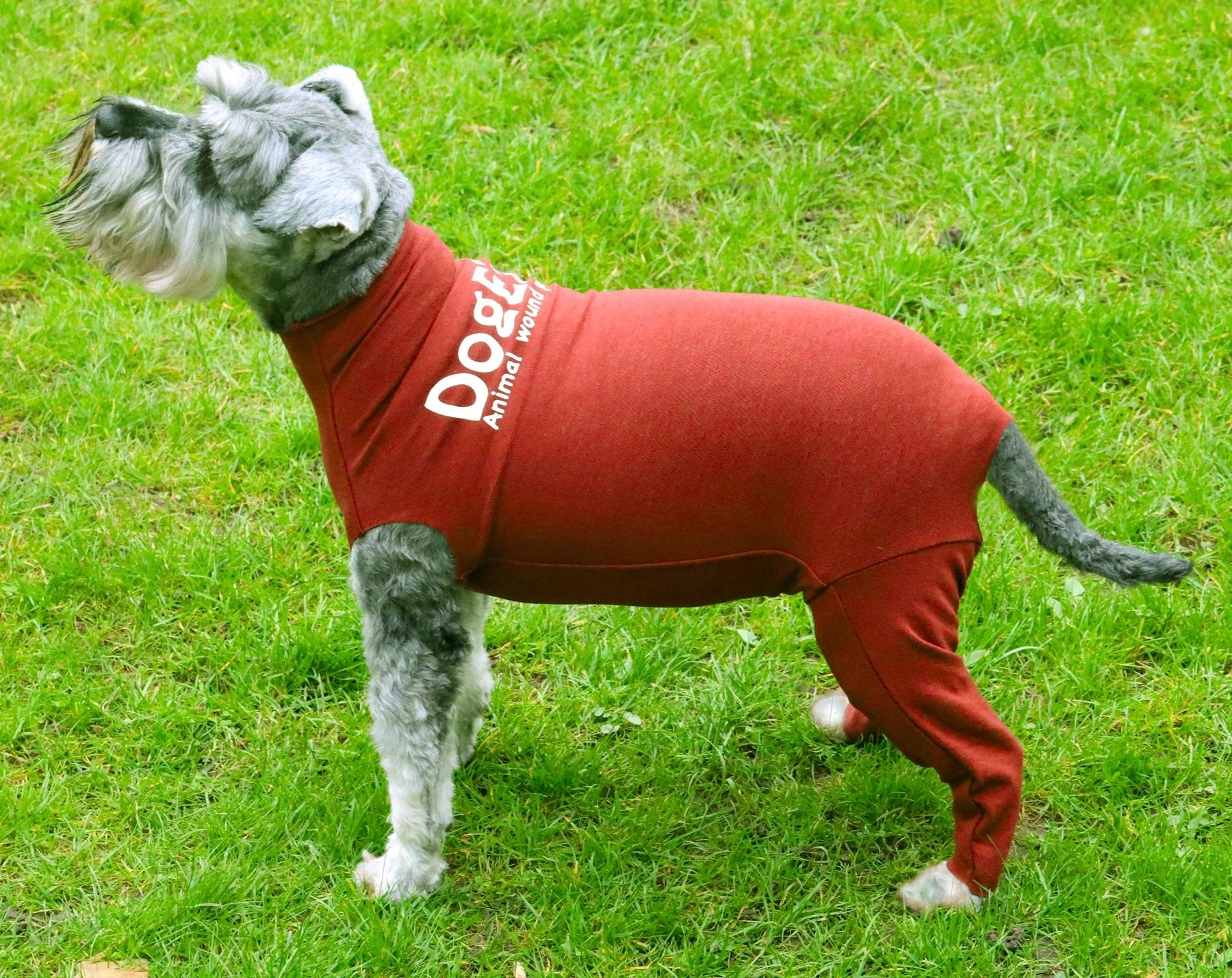 When we showcased our new product at The London Vet Show 2021