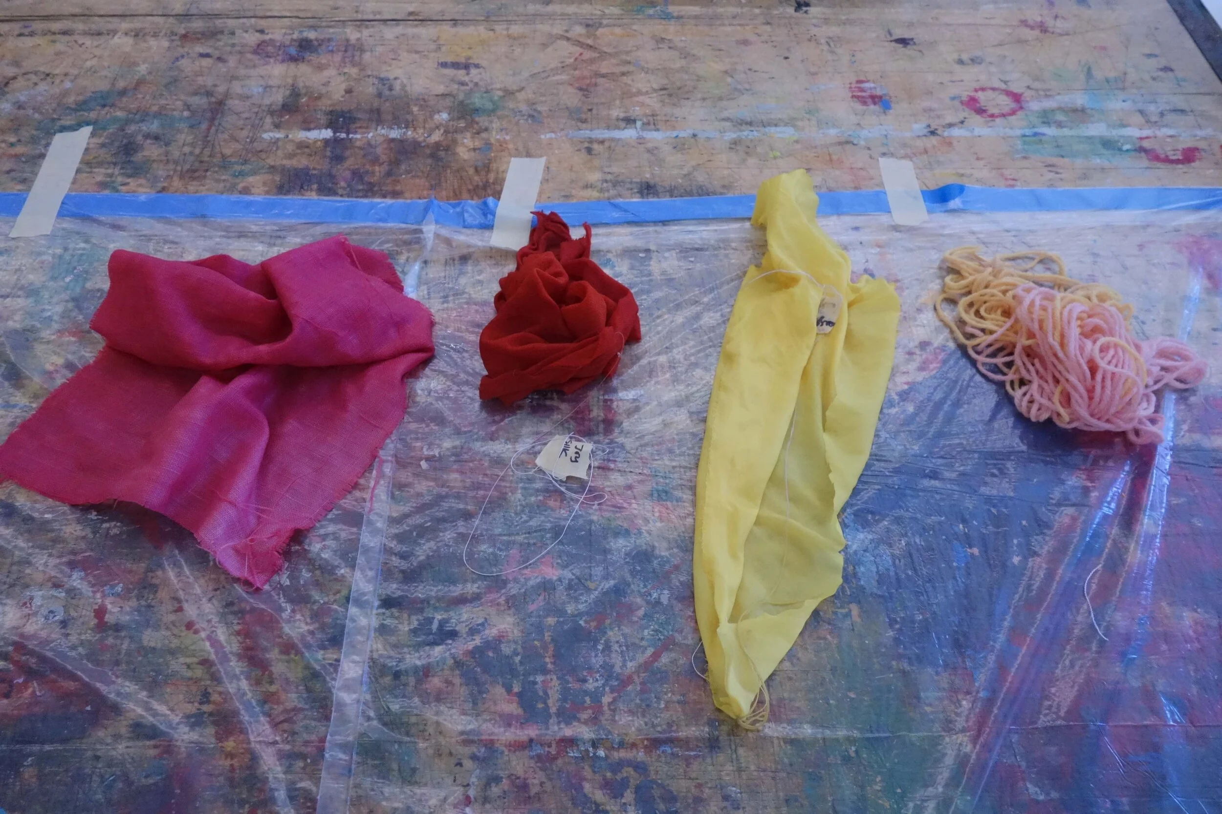 natural dyeing class pic 1.jpg
