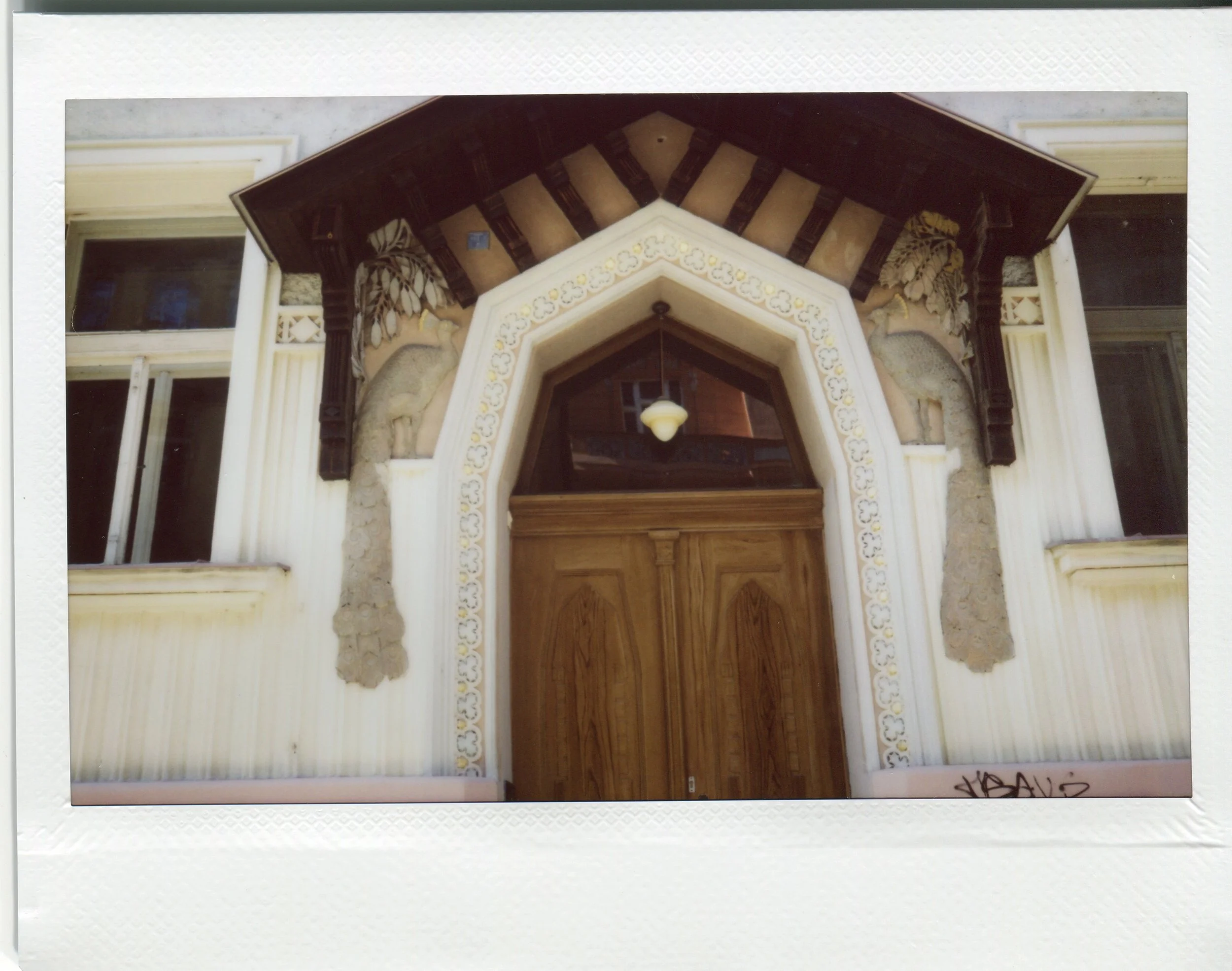 img019 copy.jpg