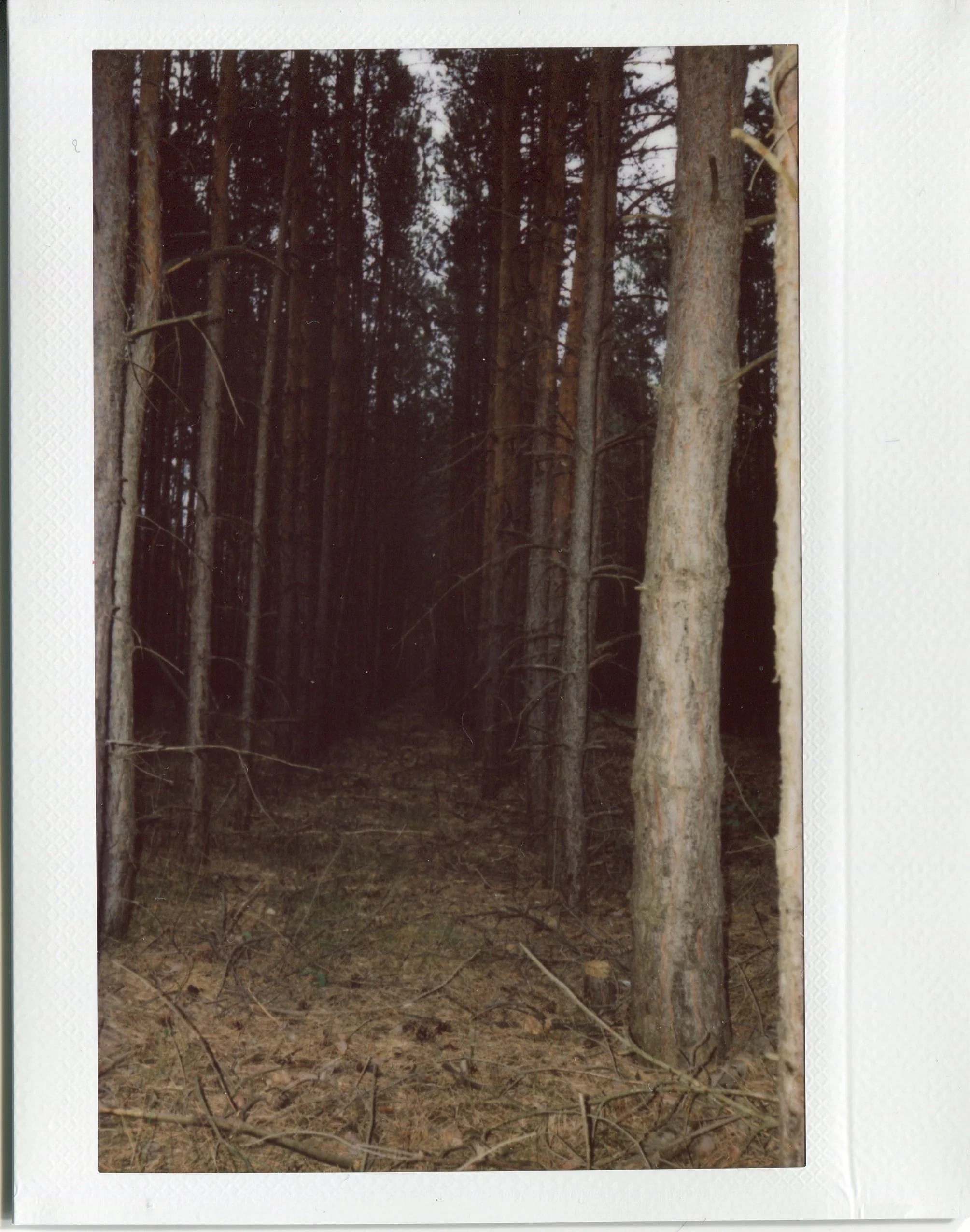 img054 copy.jpg