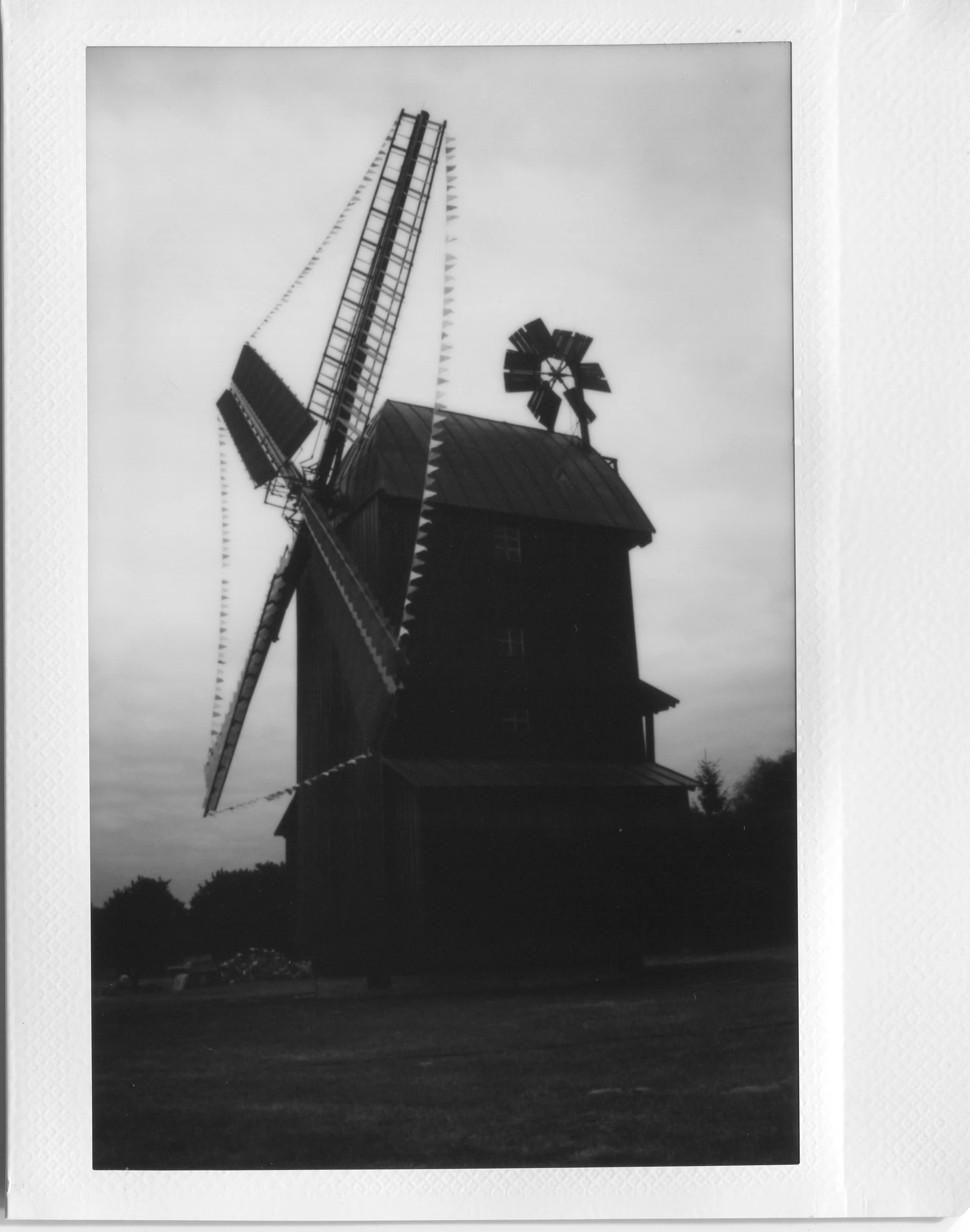 img056 copy.jpg
