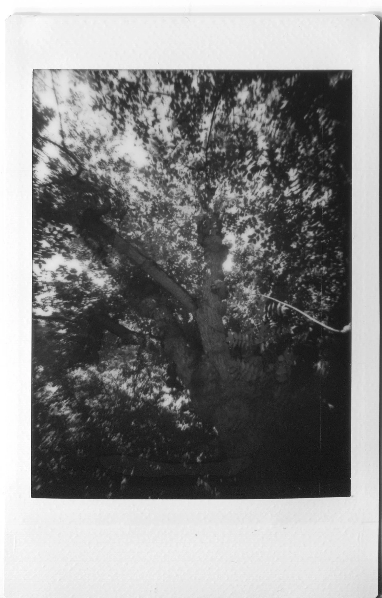 img021 copy 3.jpg