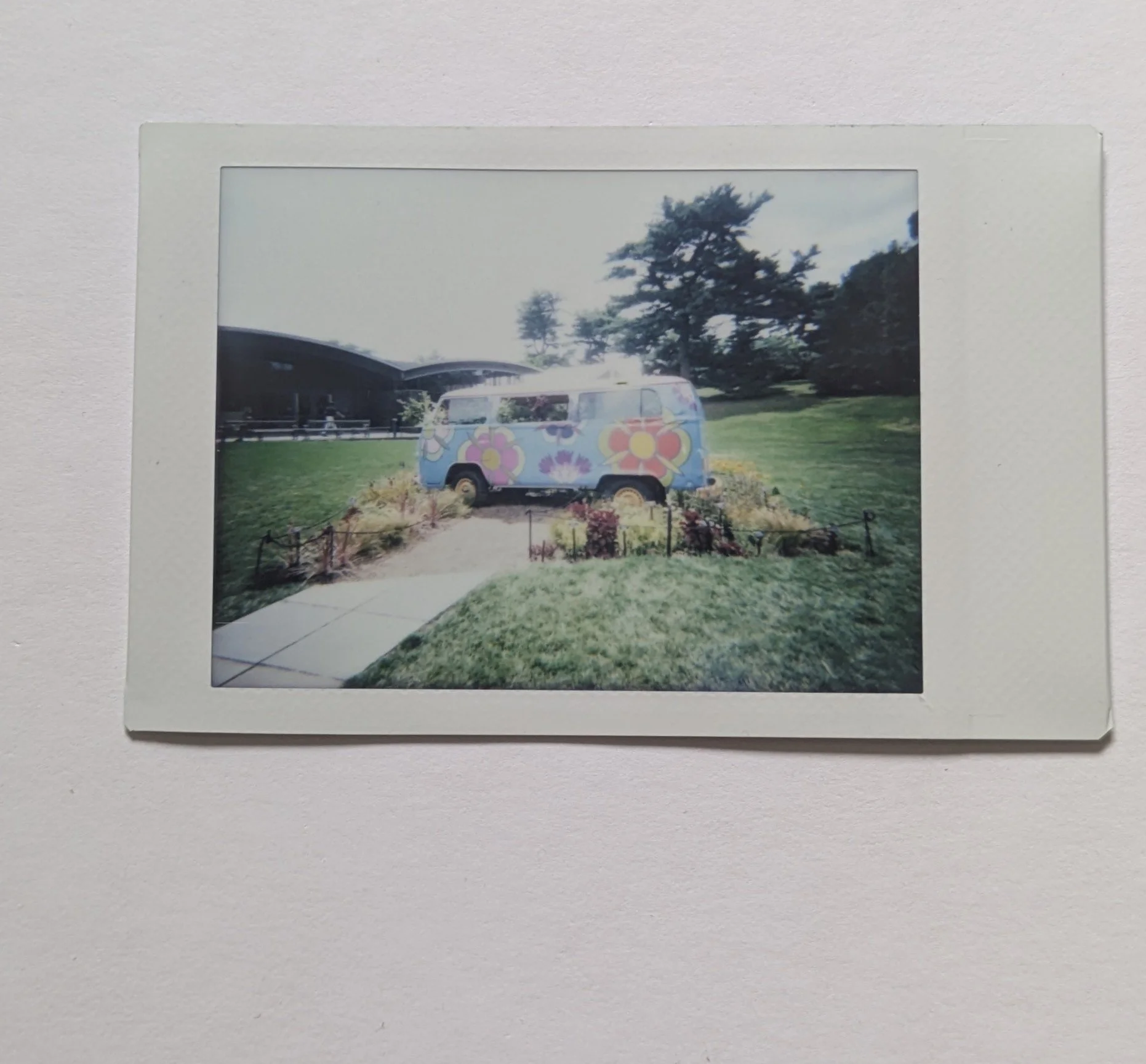 VW Flower Van(Color)