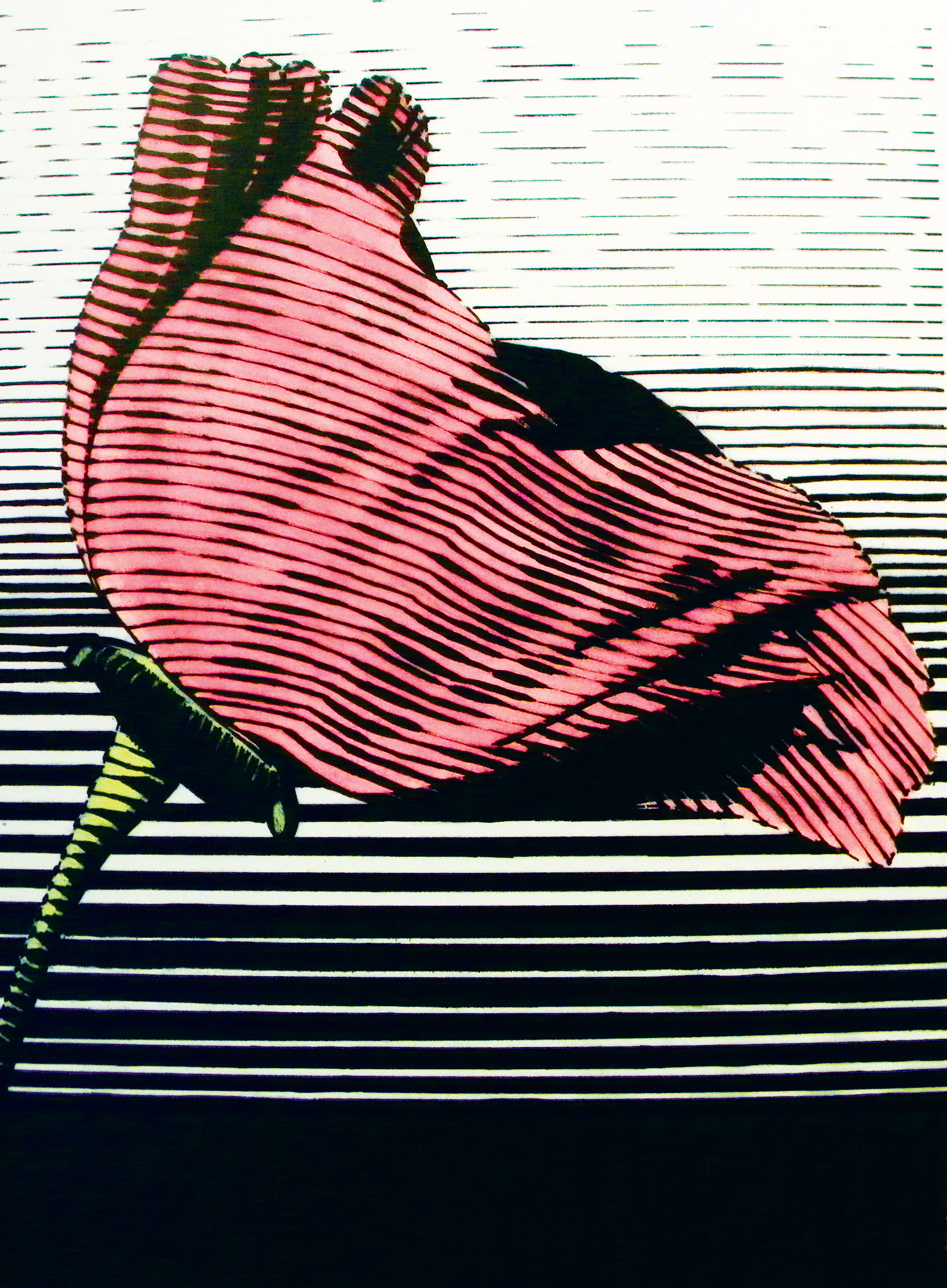 Flower - Pen, Scratchboard, Colored Ink