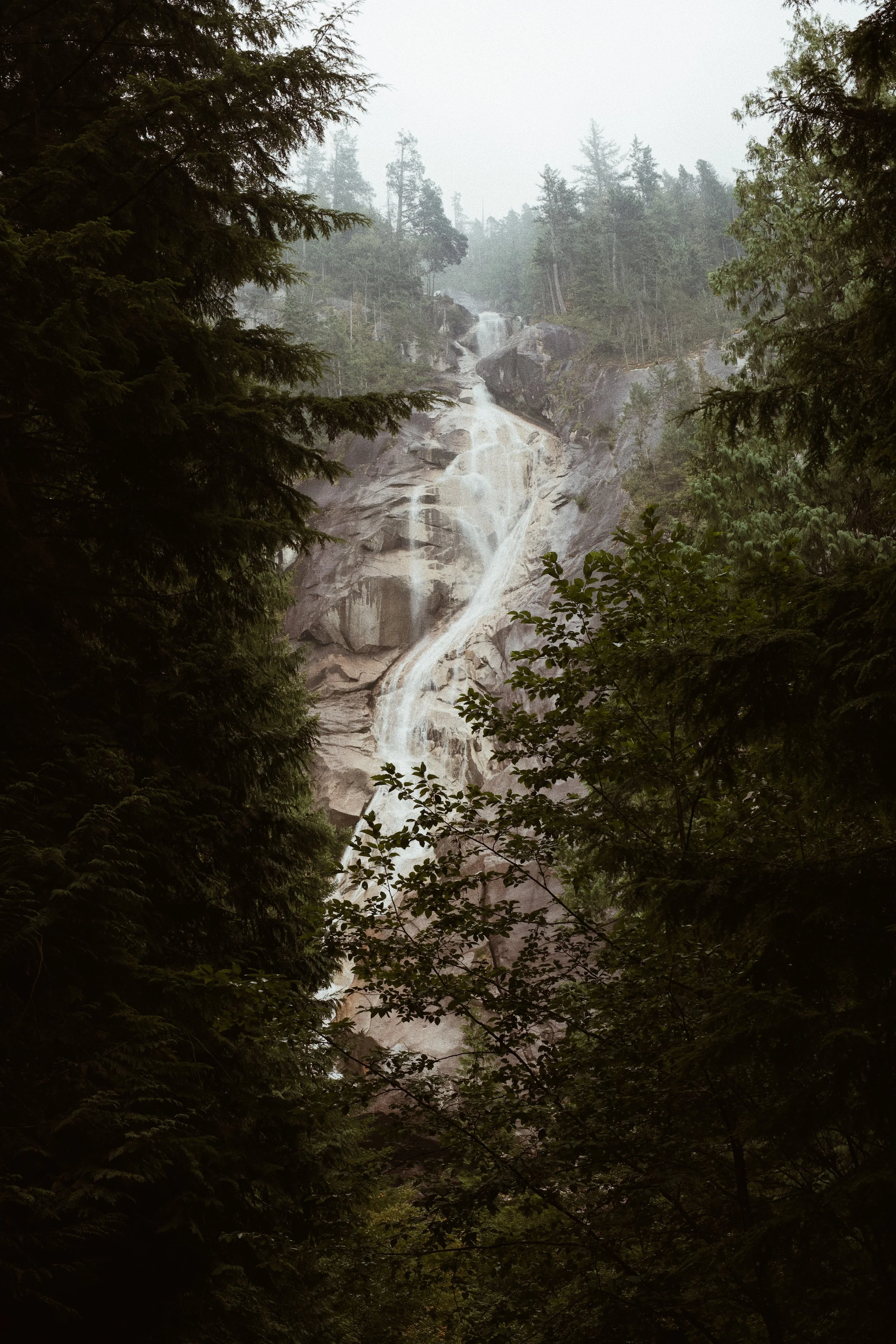  Processed with VSCO with a4 preset 