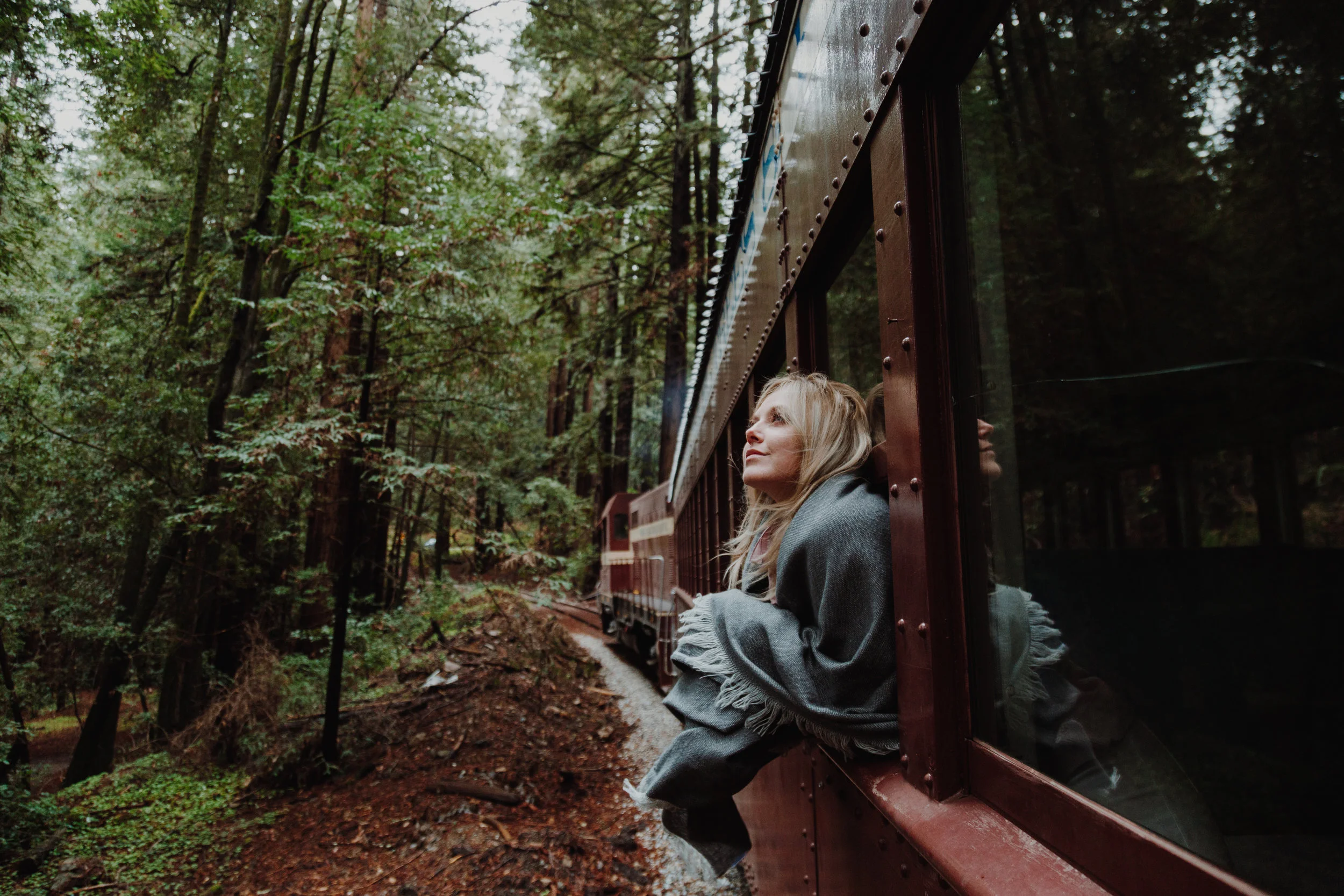 RedWoodsTrain-21.jpg