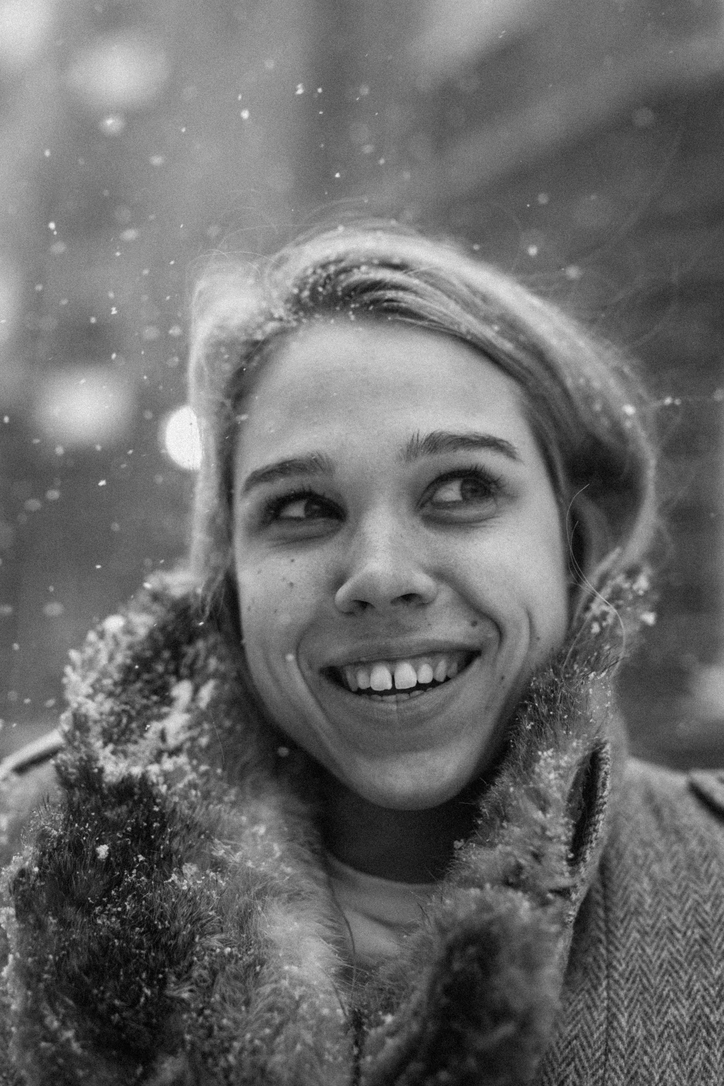 TeaRose_snow-12.jpg