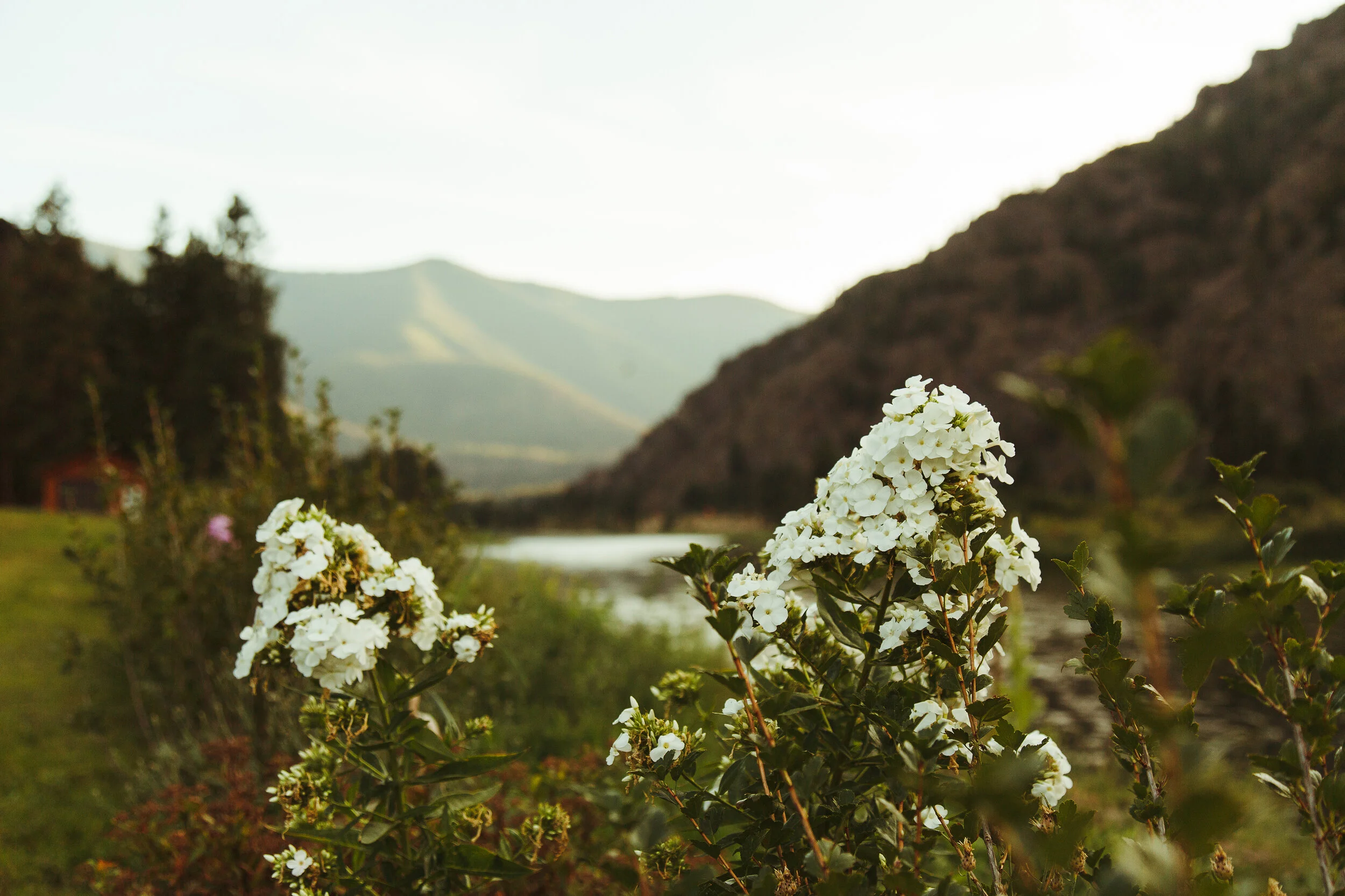 August2019_QuinnsHotSpring_Voxland-52 copy.jpg