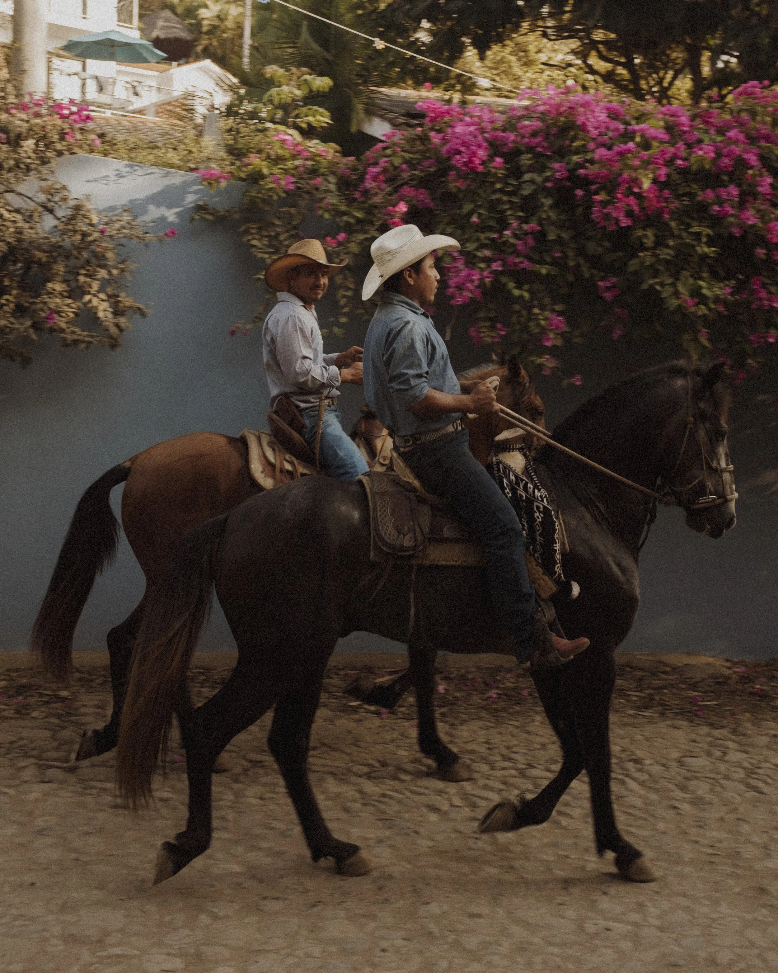 Mexico2019-2.jpg