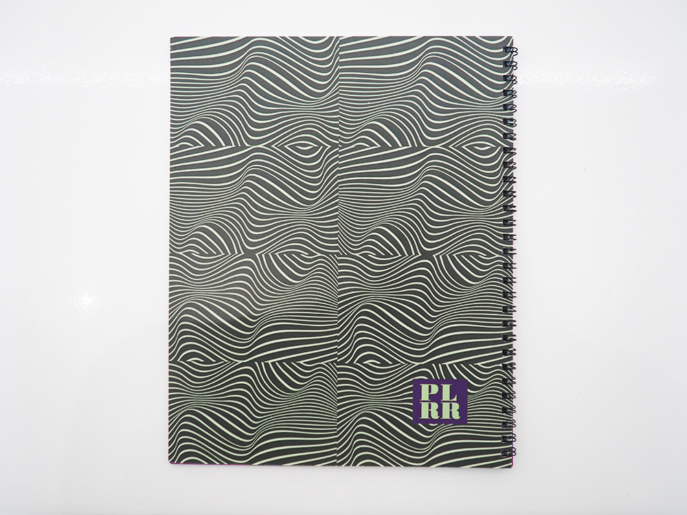 back cover.jpg