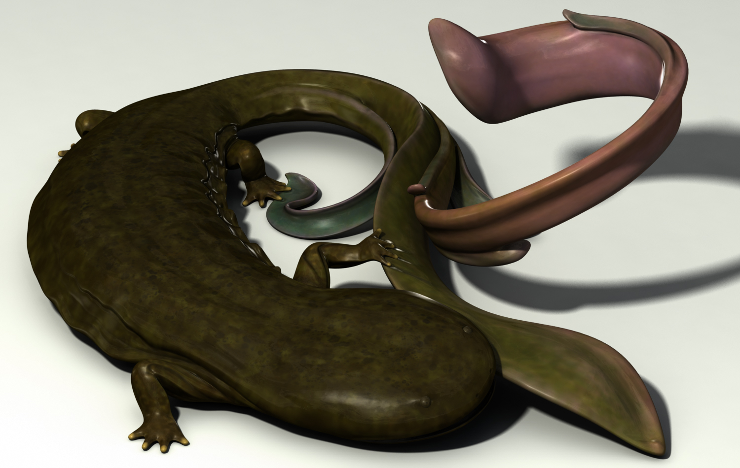  Florid Hellbender Salamander. Used Maya for base mesh and ZBrush for sculpting and texture painting. More about this project  here .    