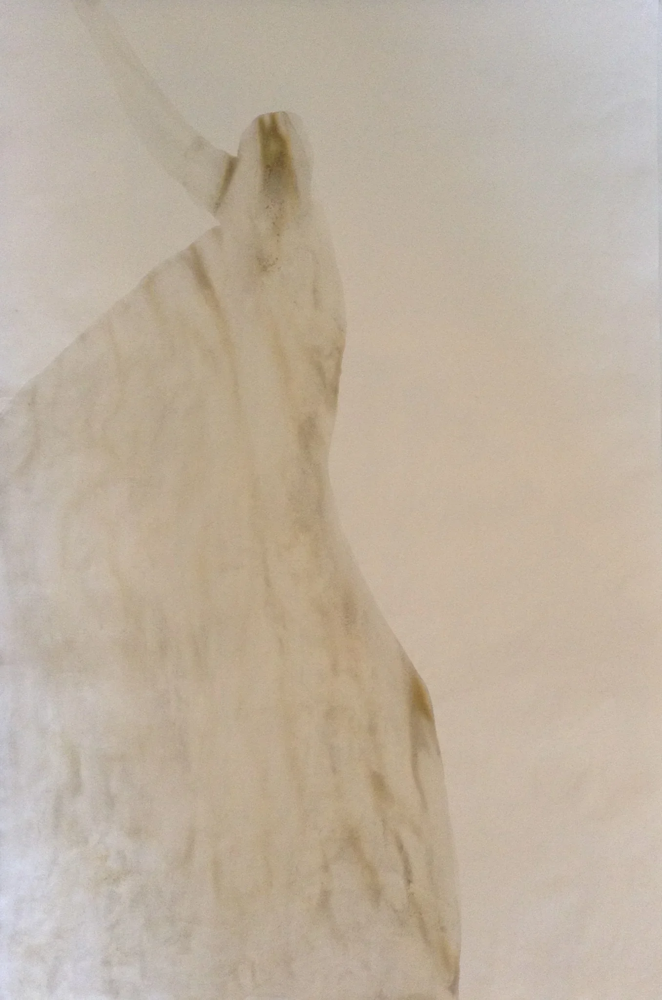 image (2).webp