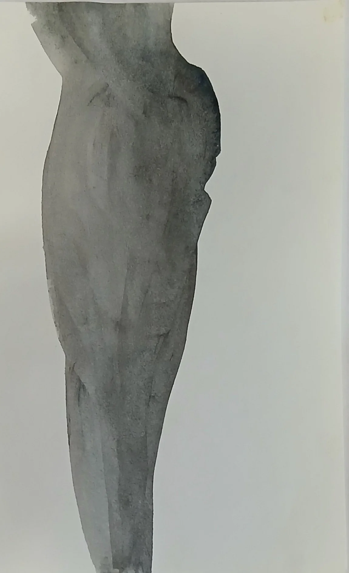 20260723_135019.jpg