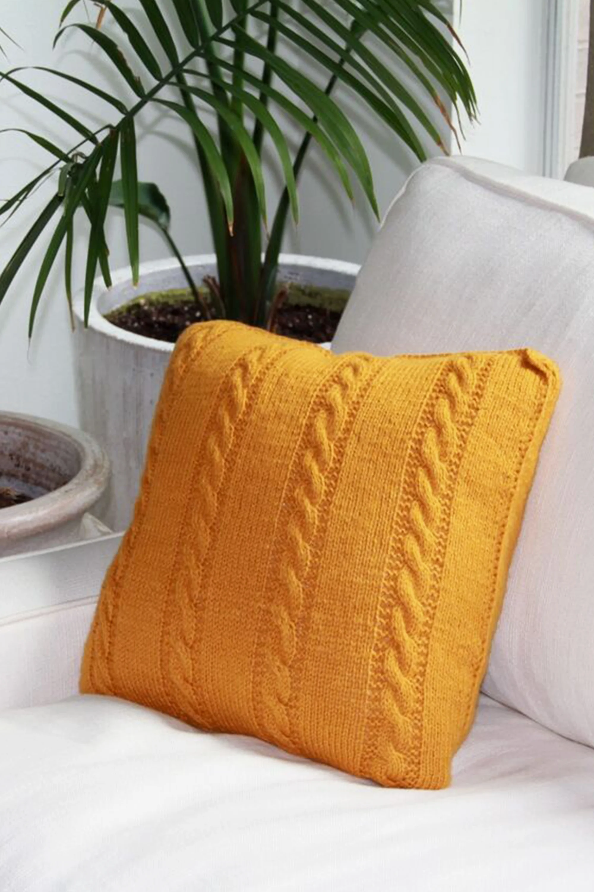 mustard yellow pillow on couch.jpg