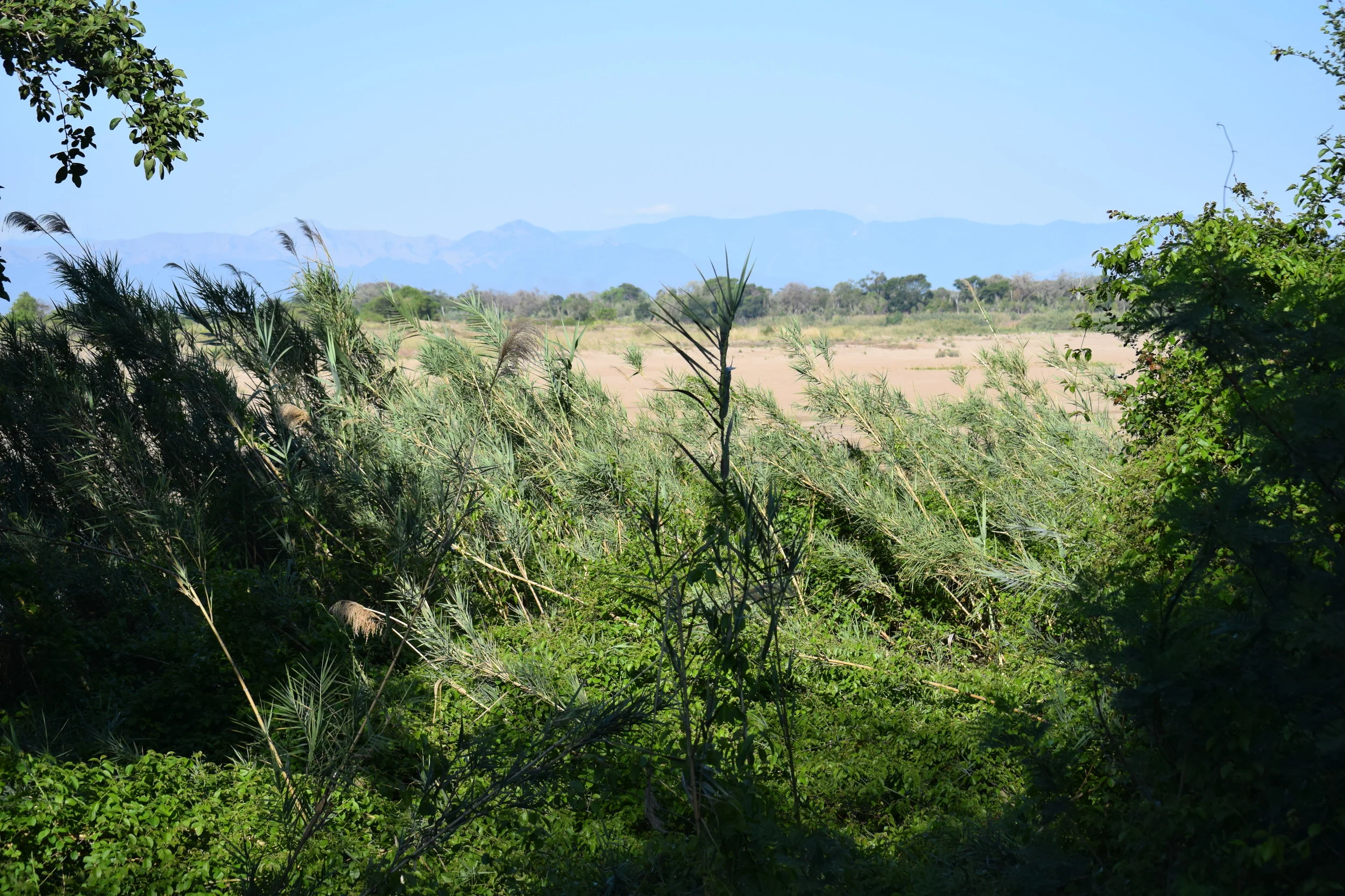 DSC_0607.JPG