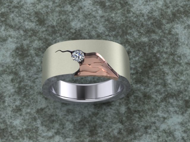 MENS SHALE RING.jpg
