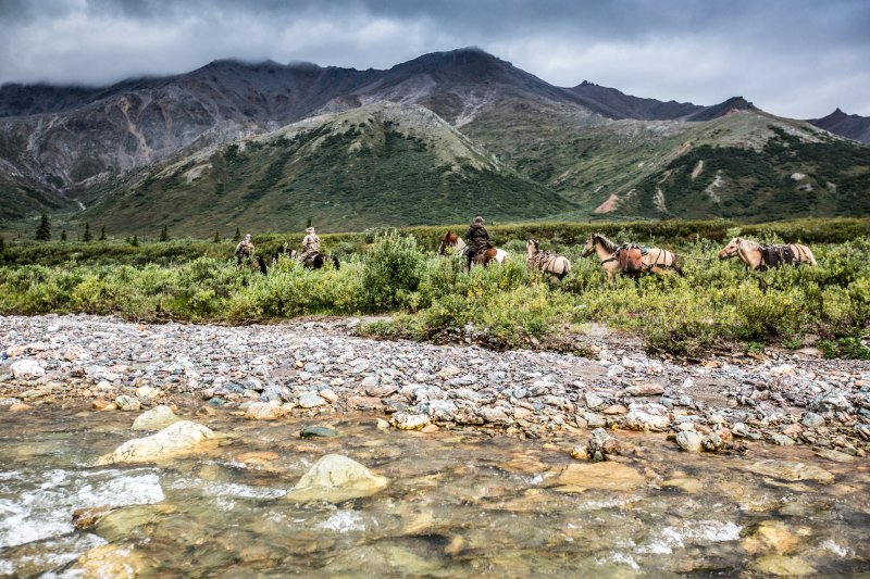 Horses are the most reliable form of transportation in the backcountry.