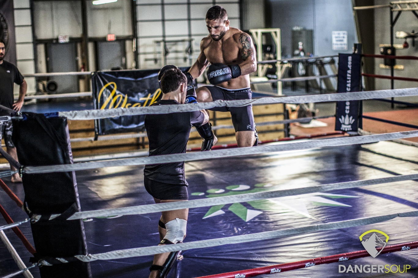 Chad Mendes Flying Knee