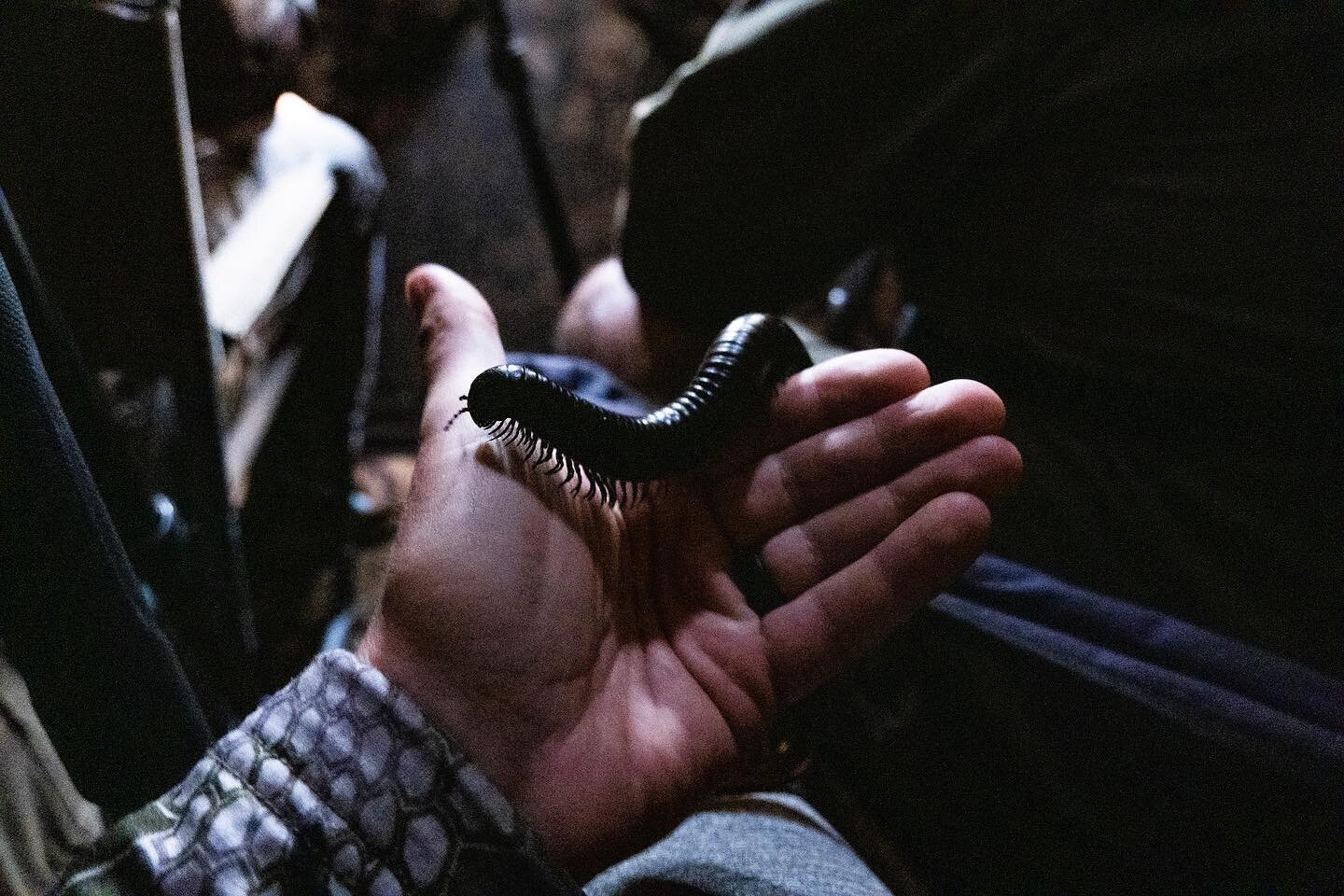 What&rsquo;s the strangest thing you&rsquo;ve ever seen in a blind?

#worldtravelbook #Africa #Zimbabwe #millipede #shongololo #discoverearth #wildernessculture #theoutbound #nakedplanet #earthgallery #wonderful_places #fantastic_earth #exploretocrea