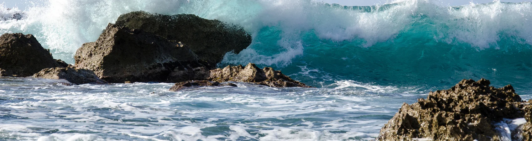 OahuShosreline-1700x450.jpg