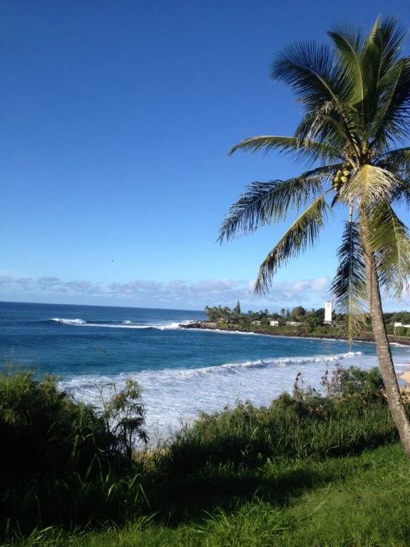 Famous Waimea Bay, where in the winter, the waves get to be 30 to 60 feet high at times along with brave/crazy surfers trying to ride hem. We will watch from the safety of the beach. We keep $1,000 Fujinon Binoculars in each van.