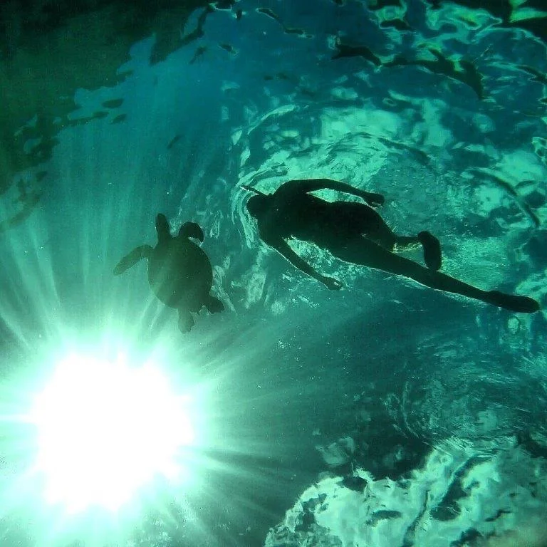 Great view looking up at the snorkeler, the turtle, and the sunburst. Photo by John Thompson.