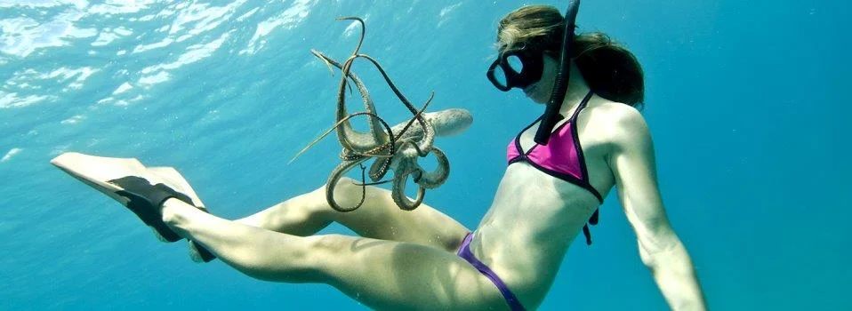Snorkeling up-close & personal with a squid