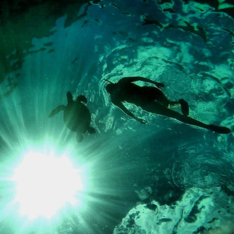 Come snorkeling with green sea turtles at on the North Shore of Oahu. Peaceful warm water, swimming with the spiritual "Honu" (Turtles) and a burst of delicious sunshine. Photo by John Thompson.