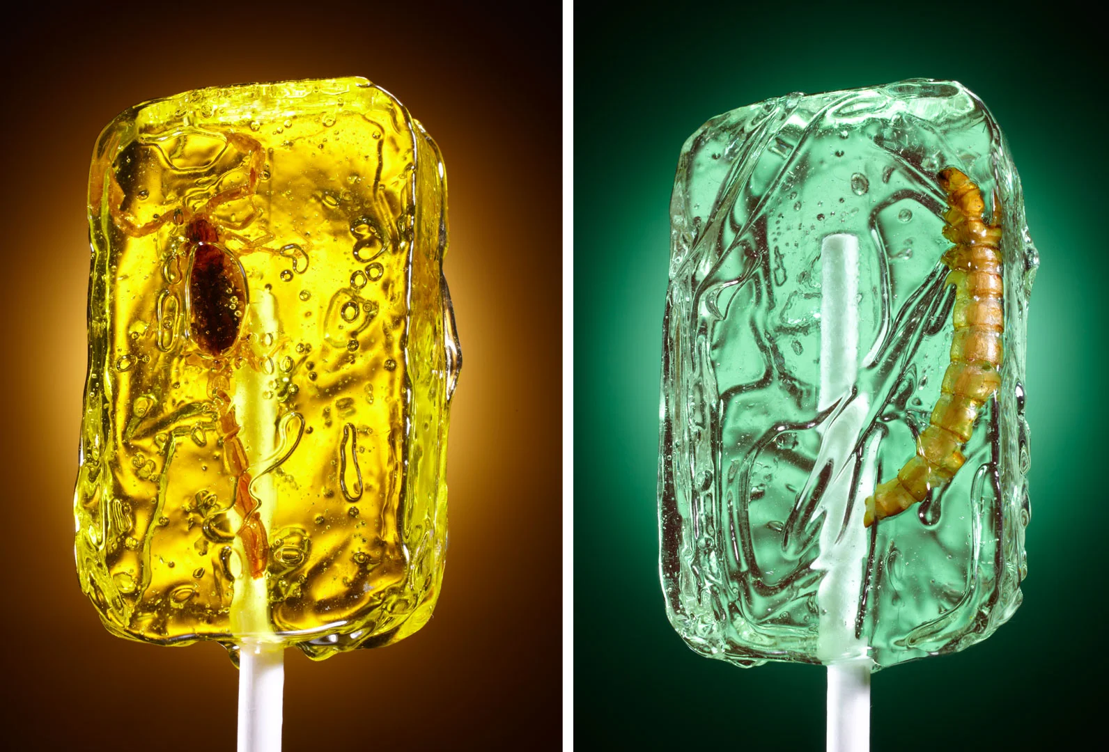 scorpion worm lollipop conceptual