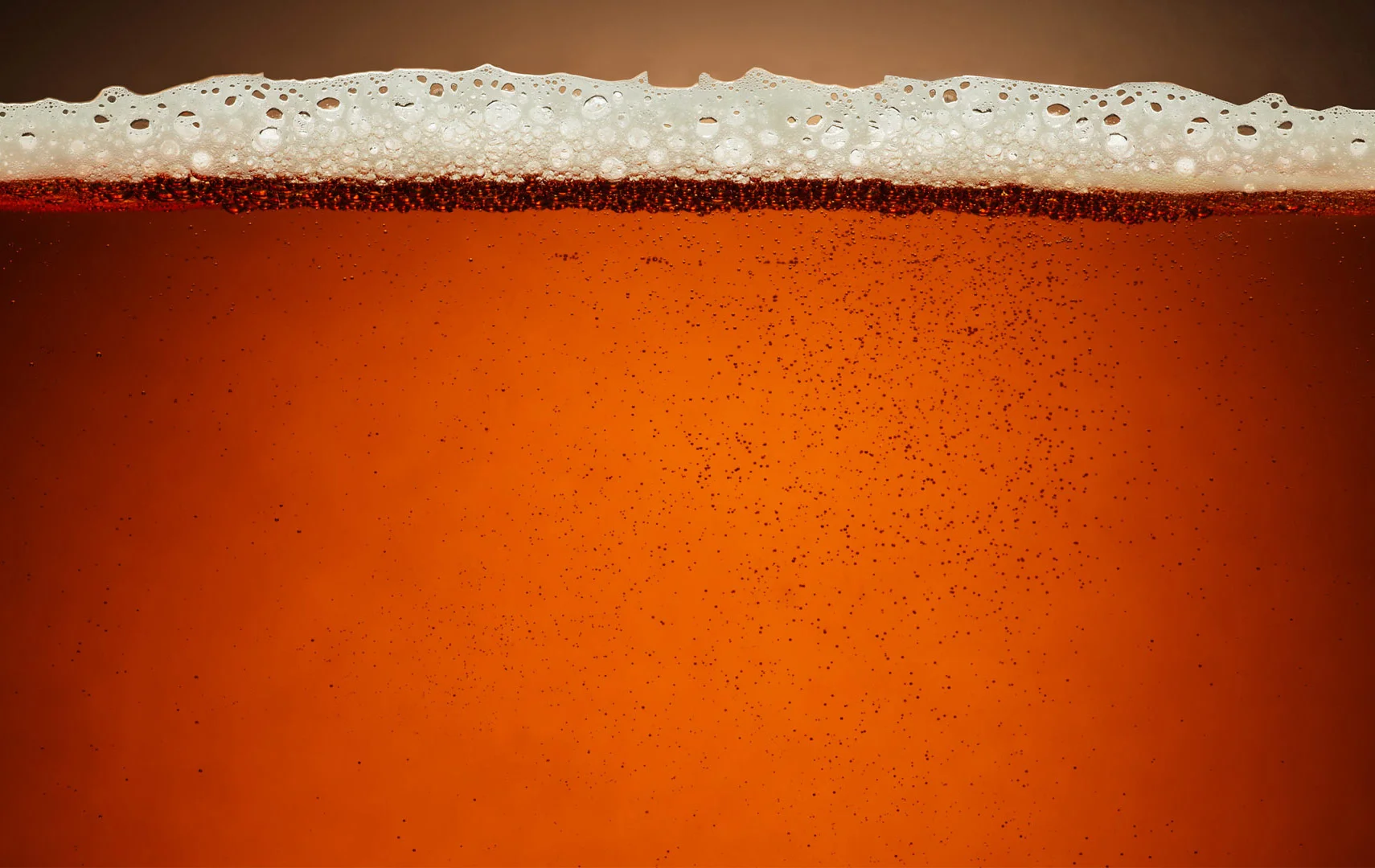 samuel adams beer