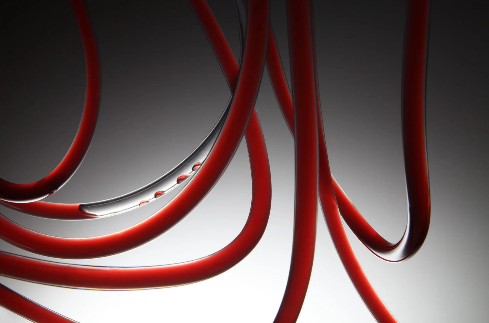 blood stream veins