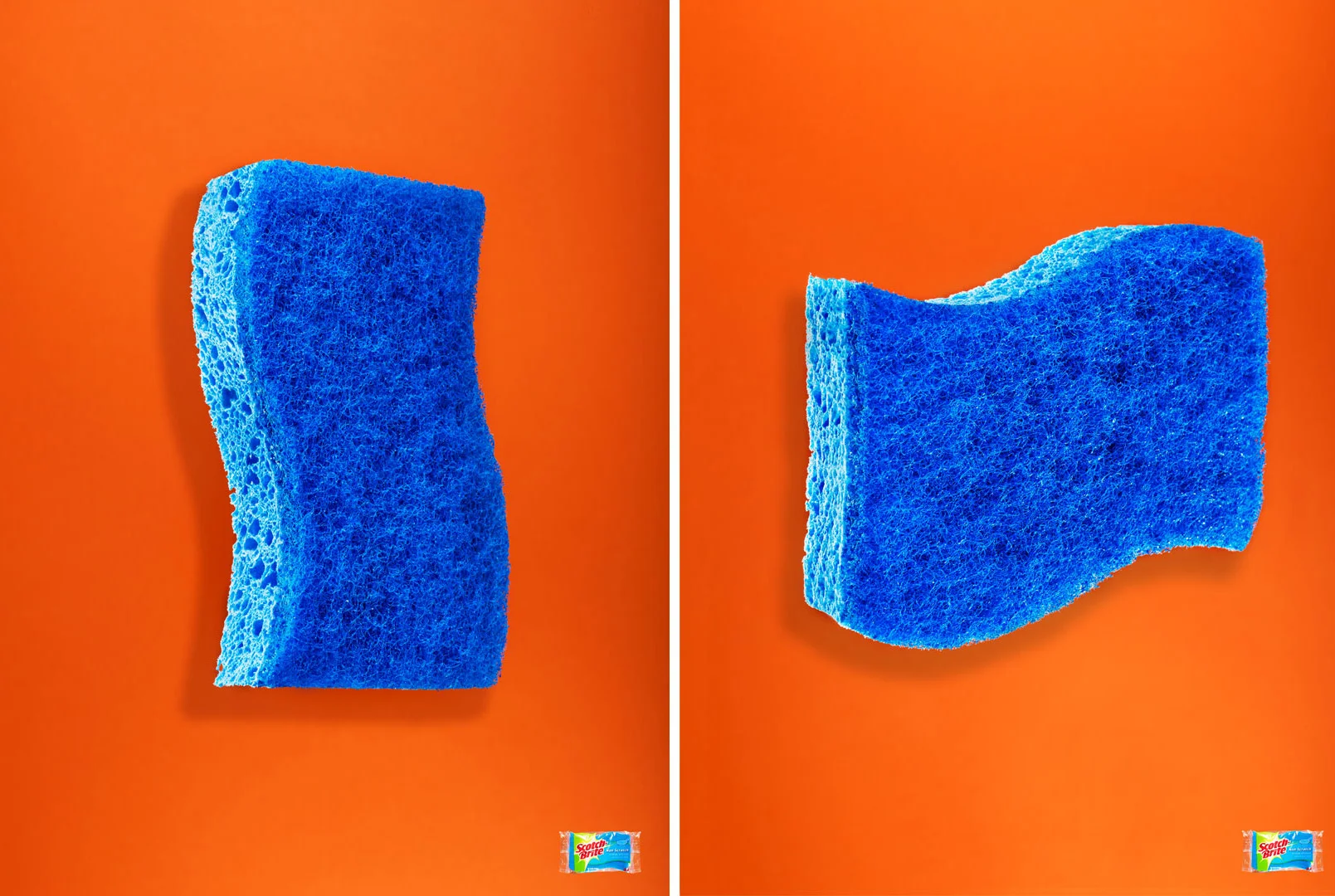 scotch brite sponge