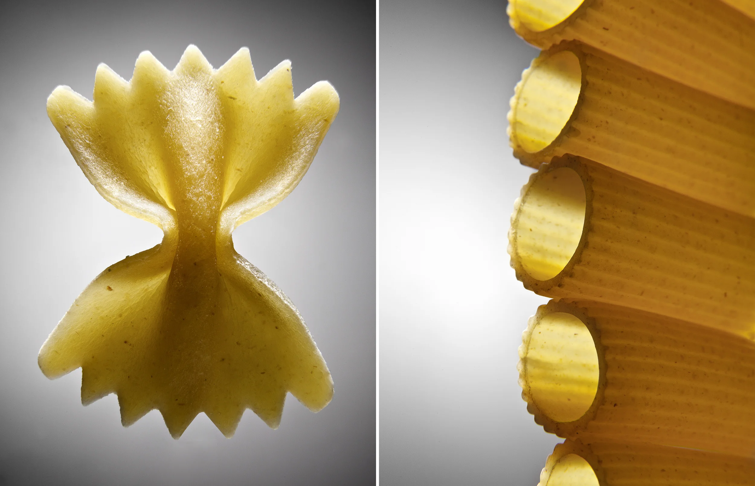 pasta noodles concept