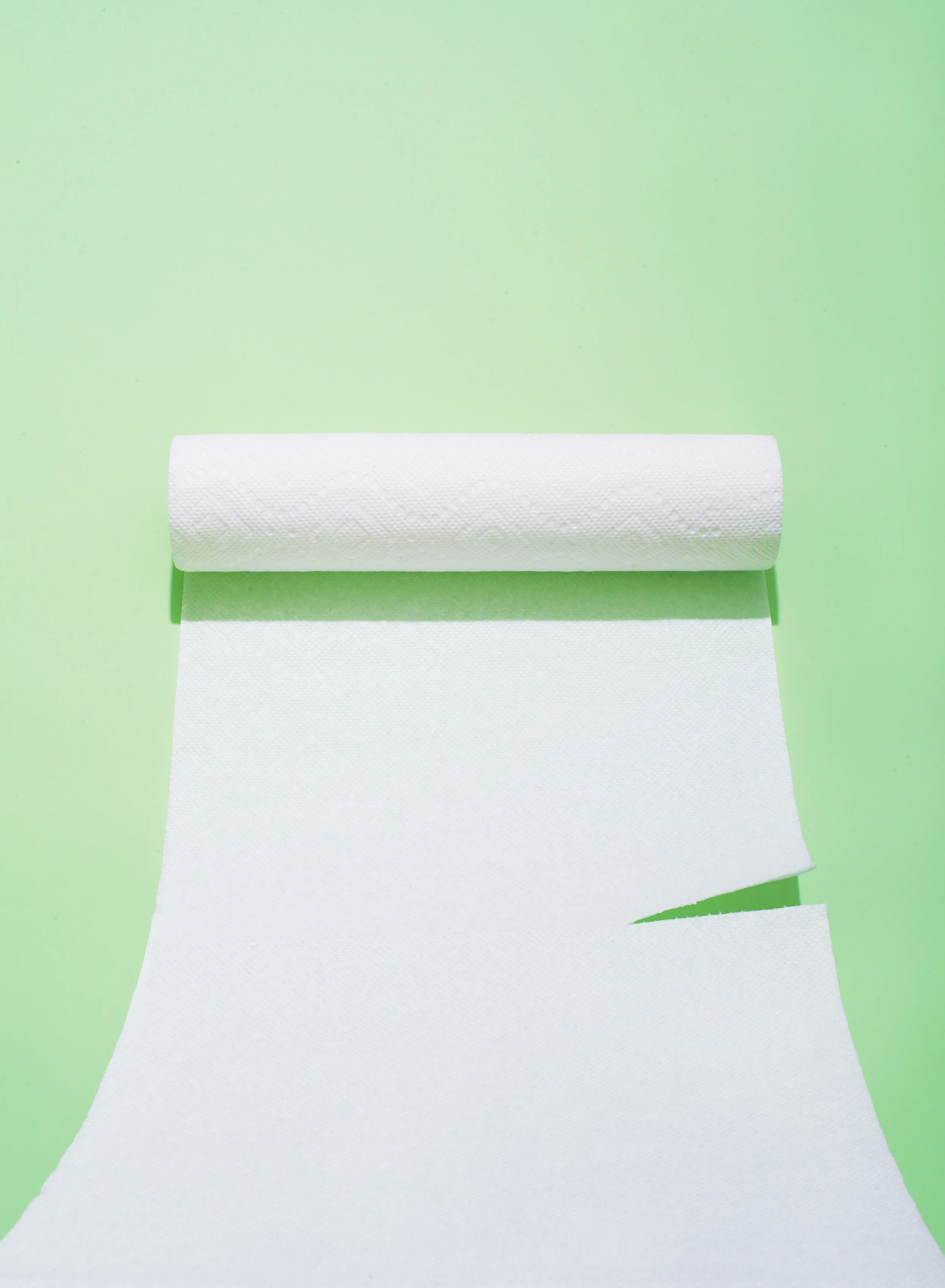 paper towel roll