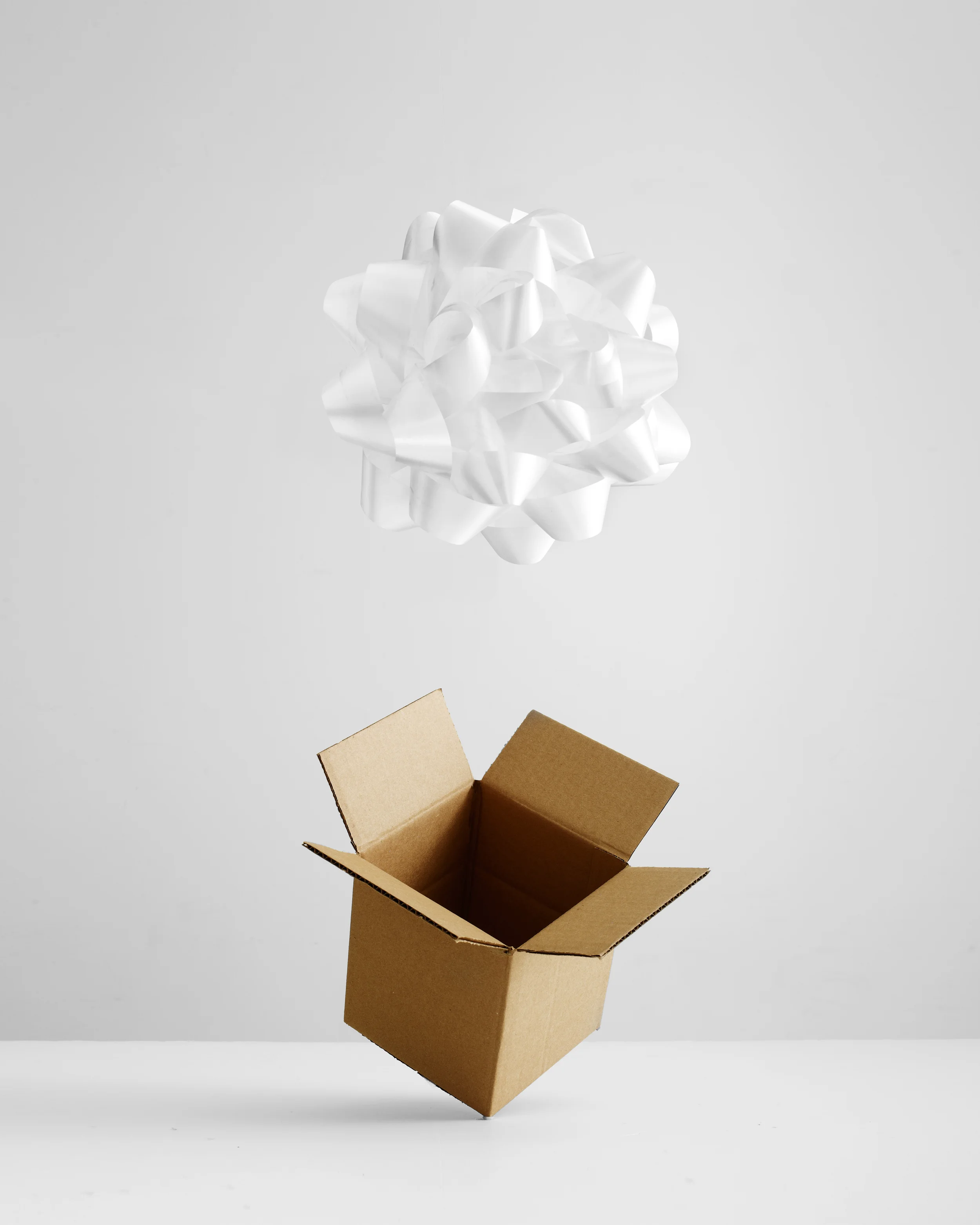 Shipping Box Christmas