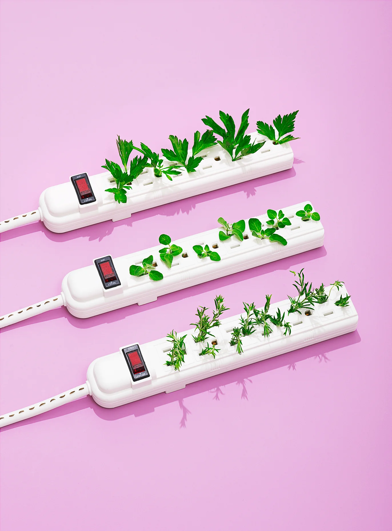 Power Strip Garden