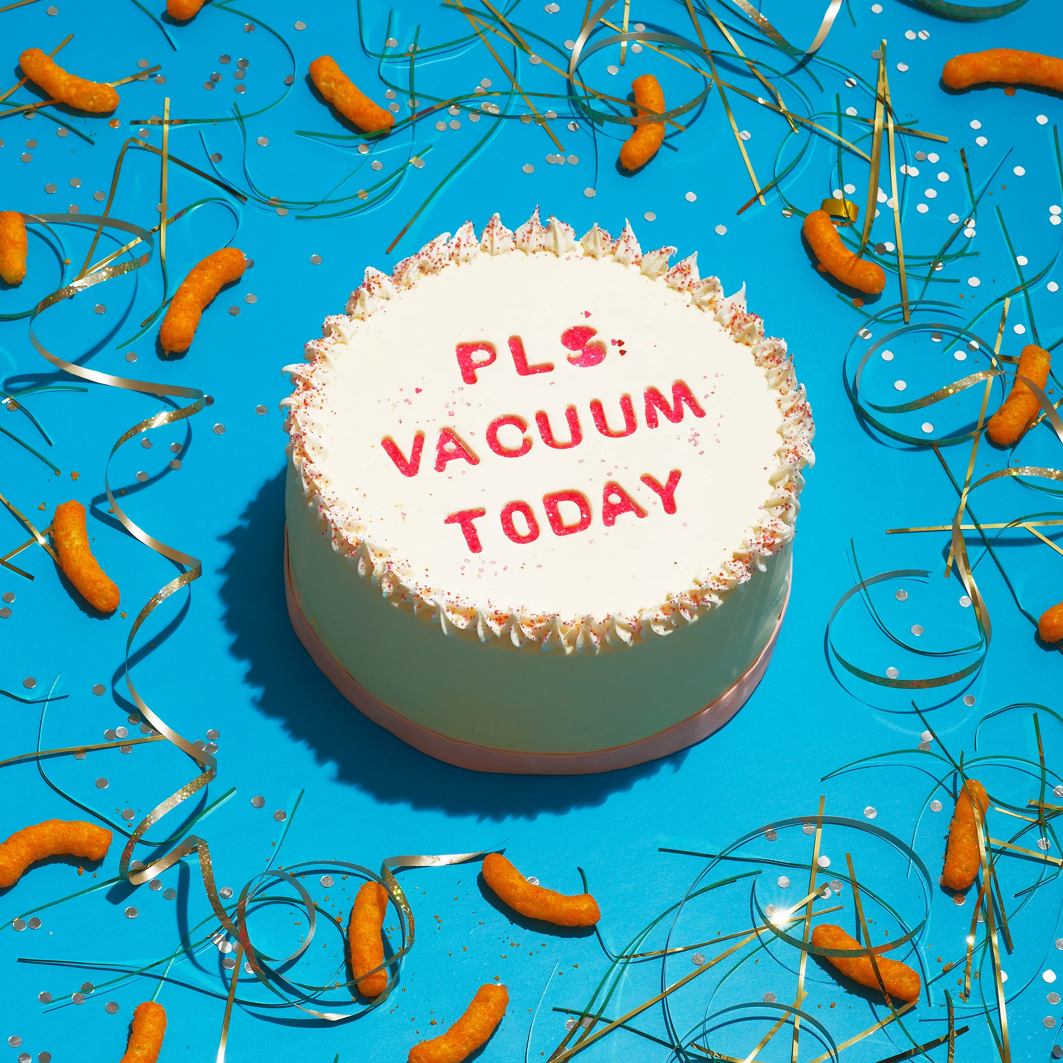Please Vacuum Today Cake